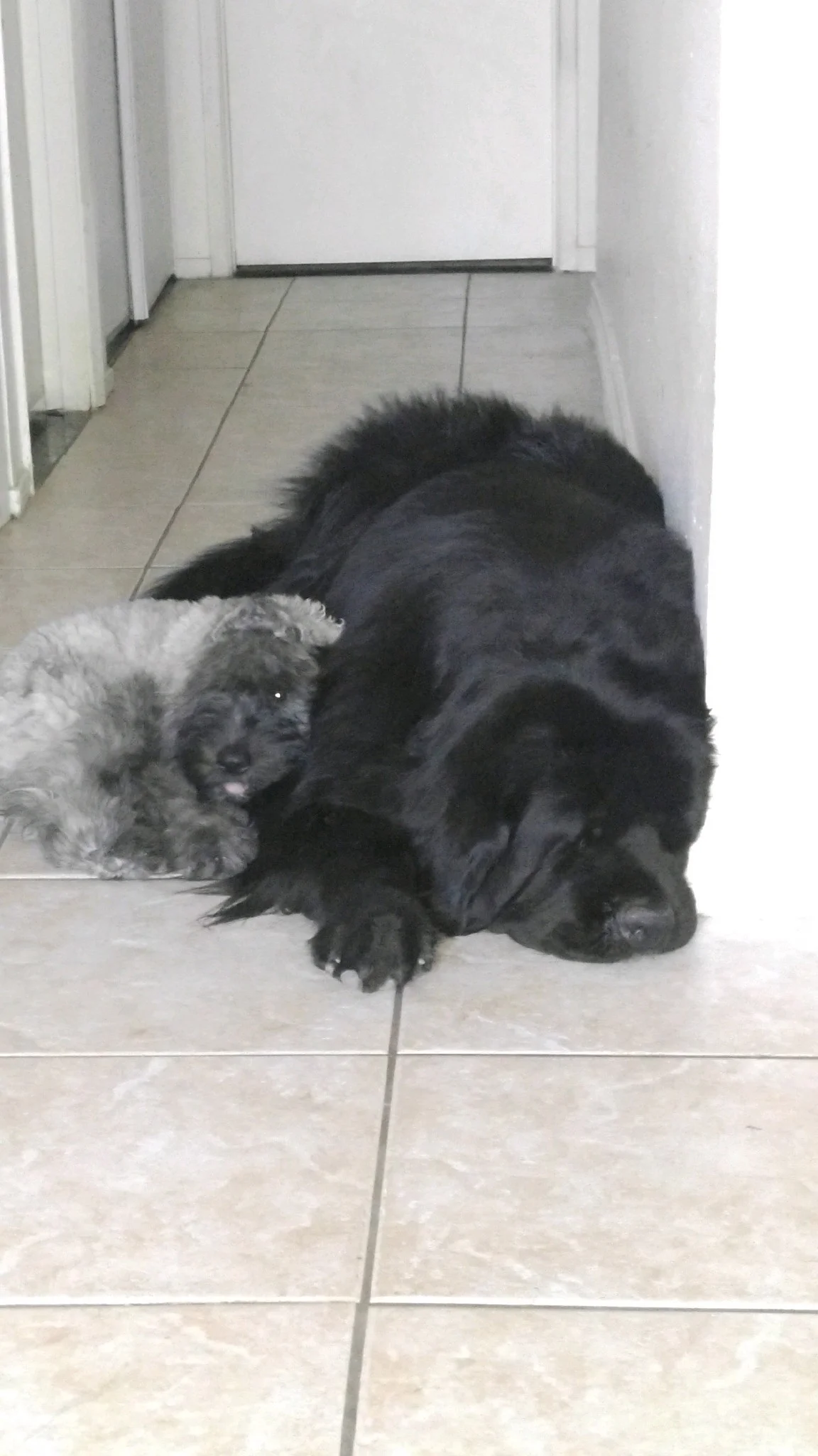  Peter and Stewie being adorable 