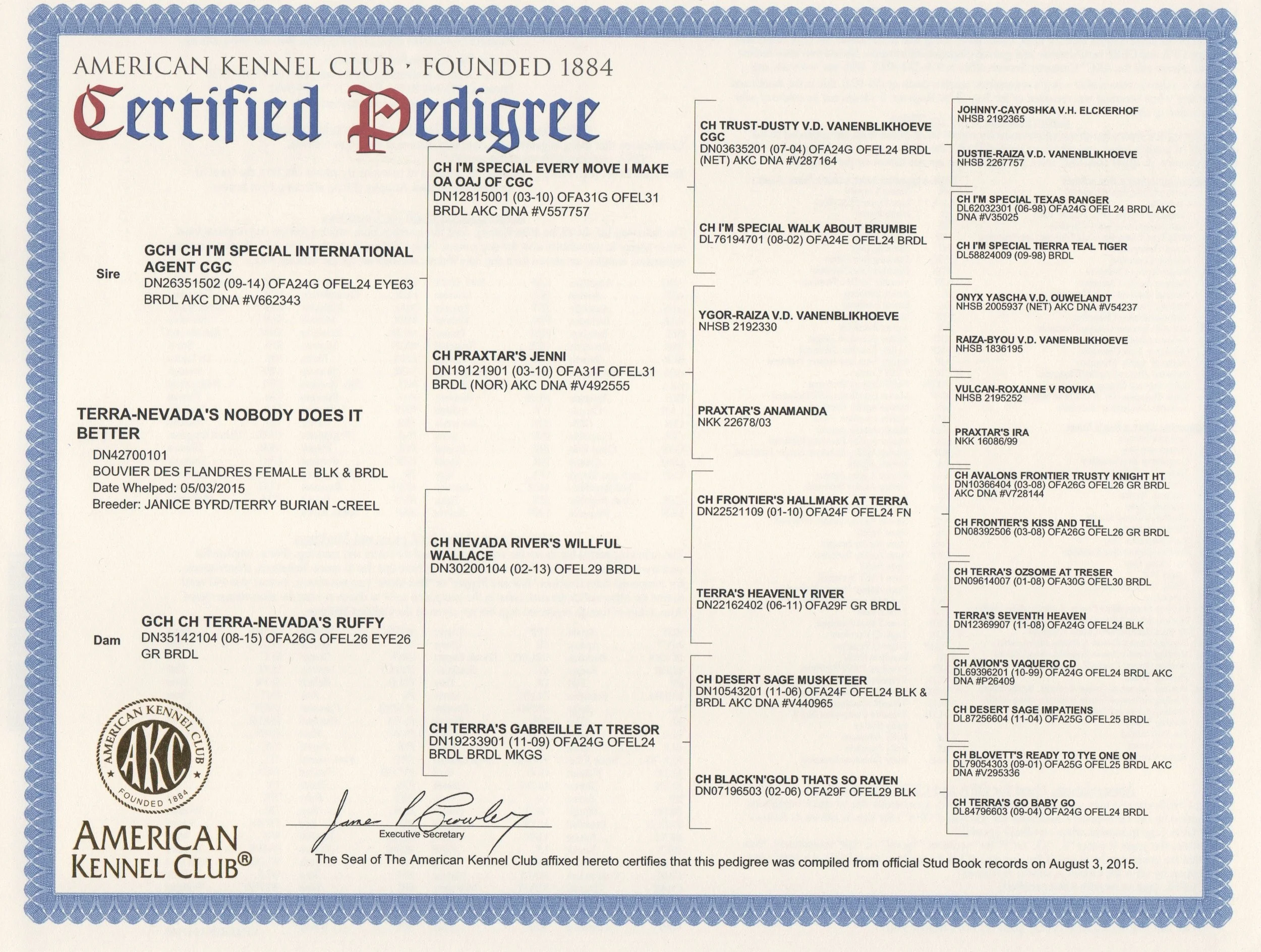 Girls R J Nevada Bouviers