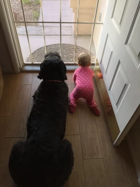  Gentle giant and his little human 