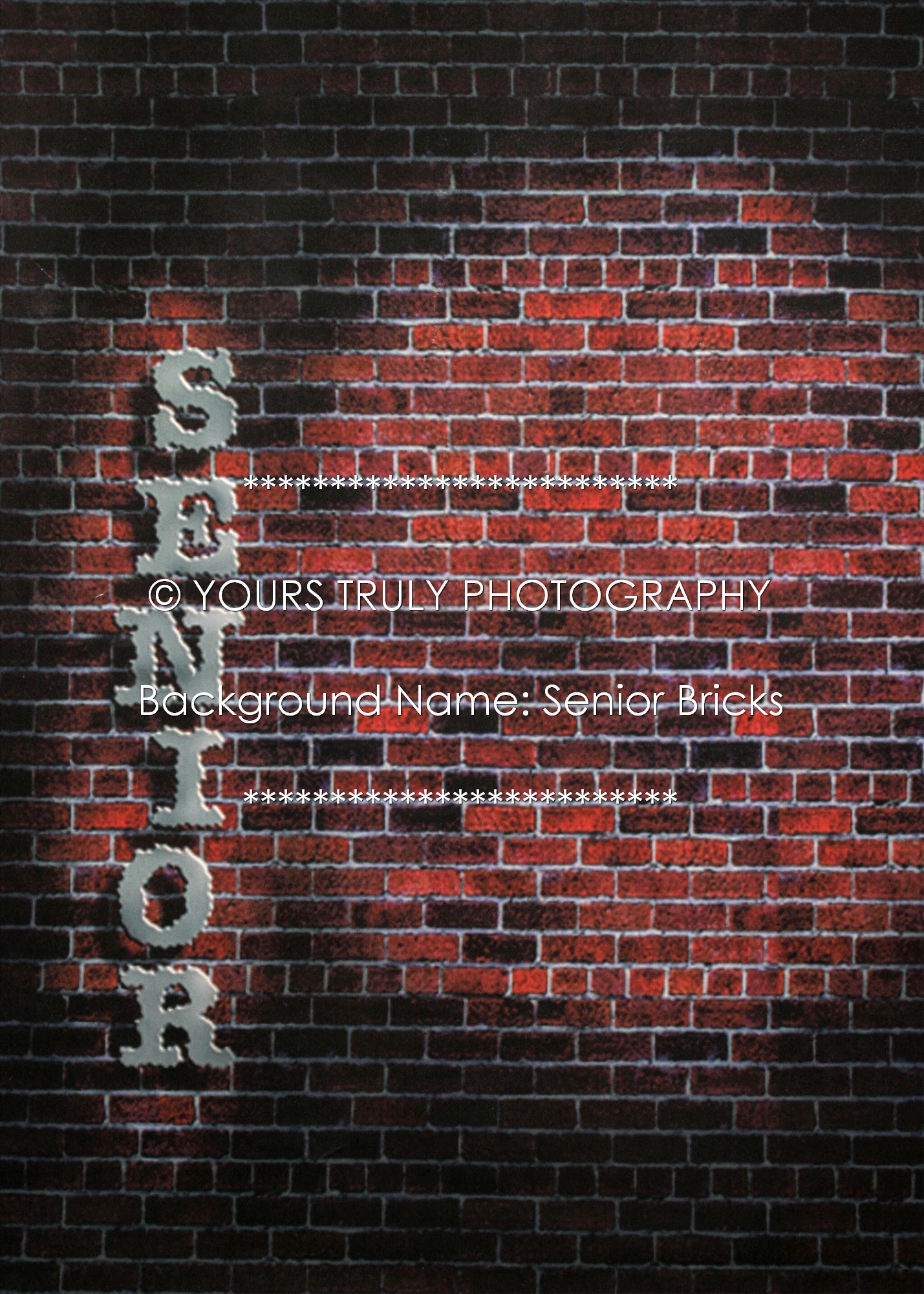 Senior Bricks.jpg