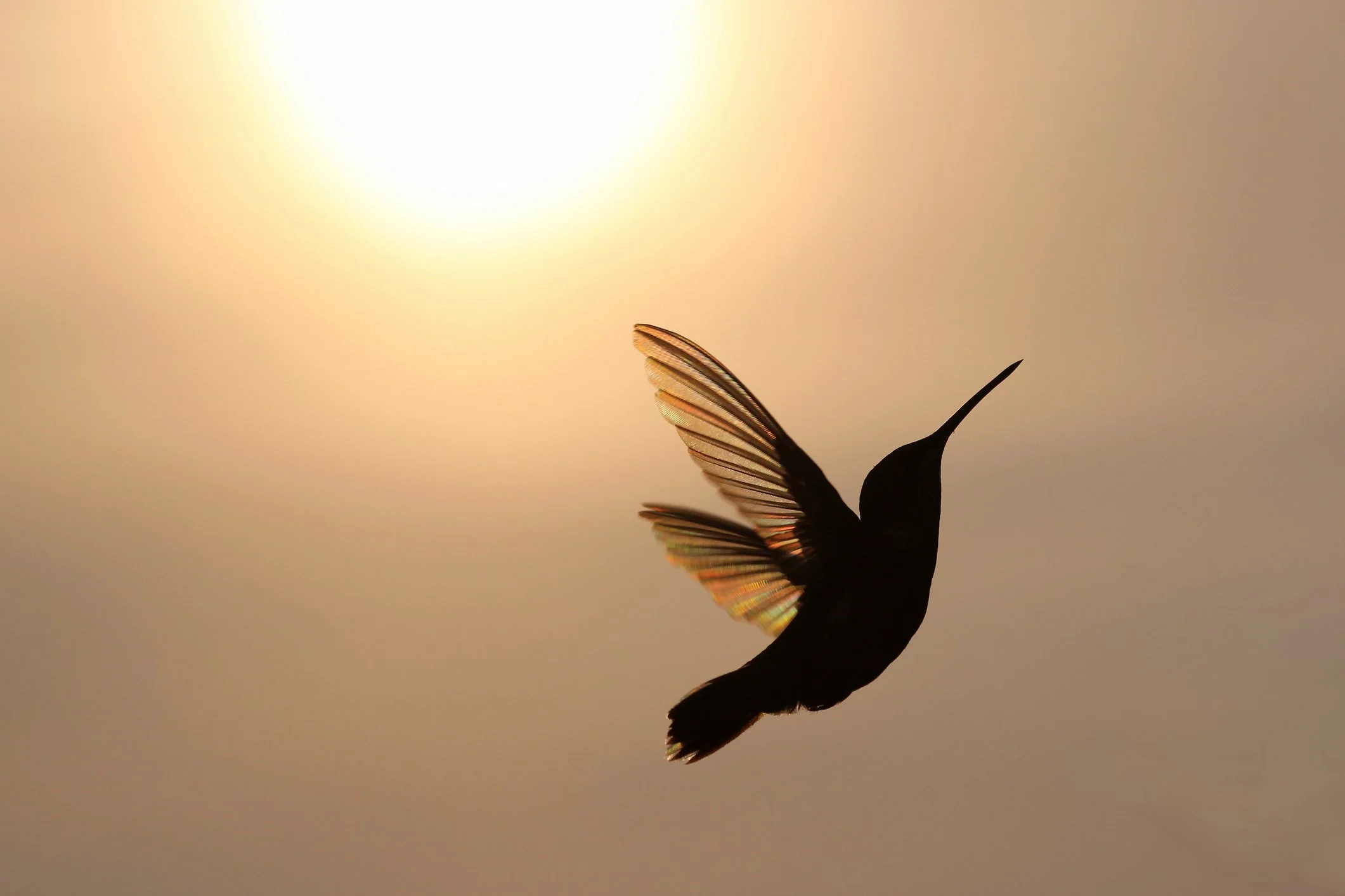 Child, Adolescent, and Adult Psychiatrist in Austin, TX — Child