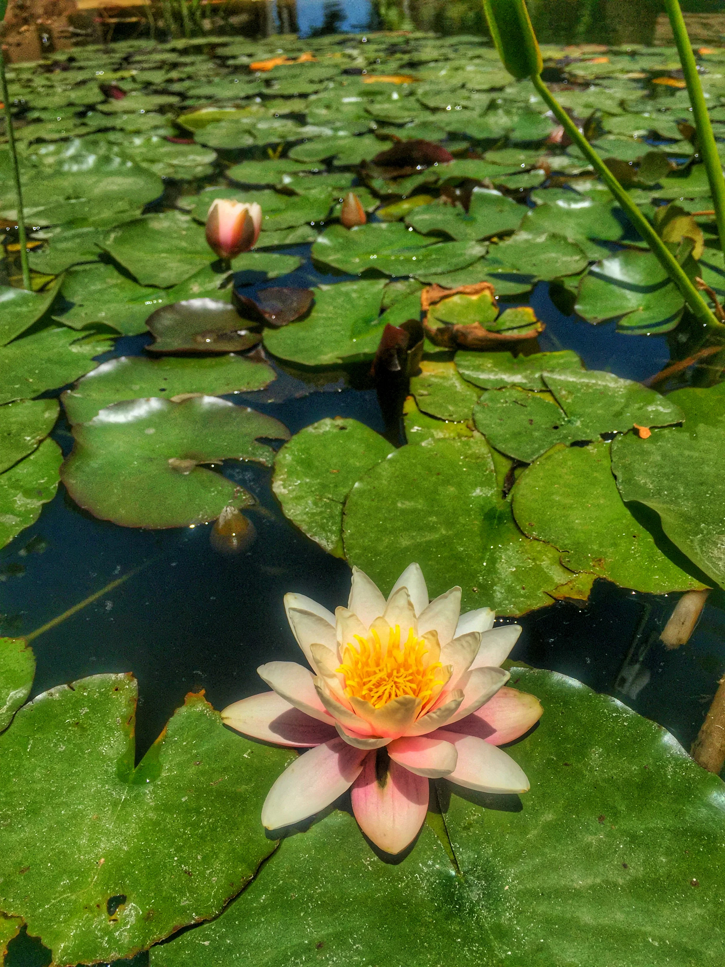 How to respond when somebody asks: "So... What do  you do for a living?"