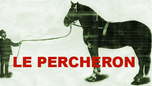 JT's Jazz Implosion Featuring Le Percheron