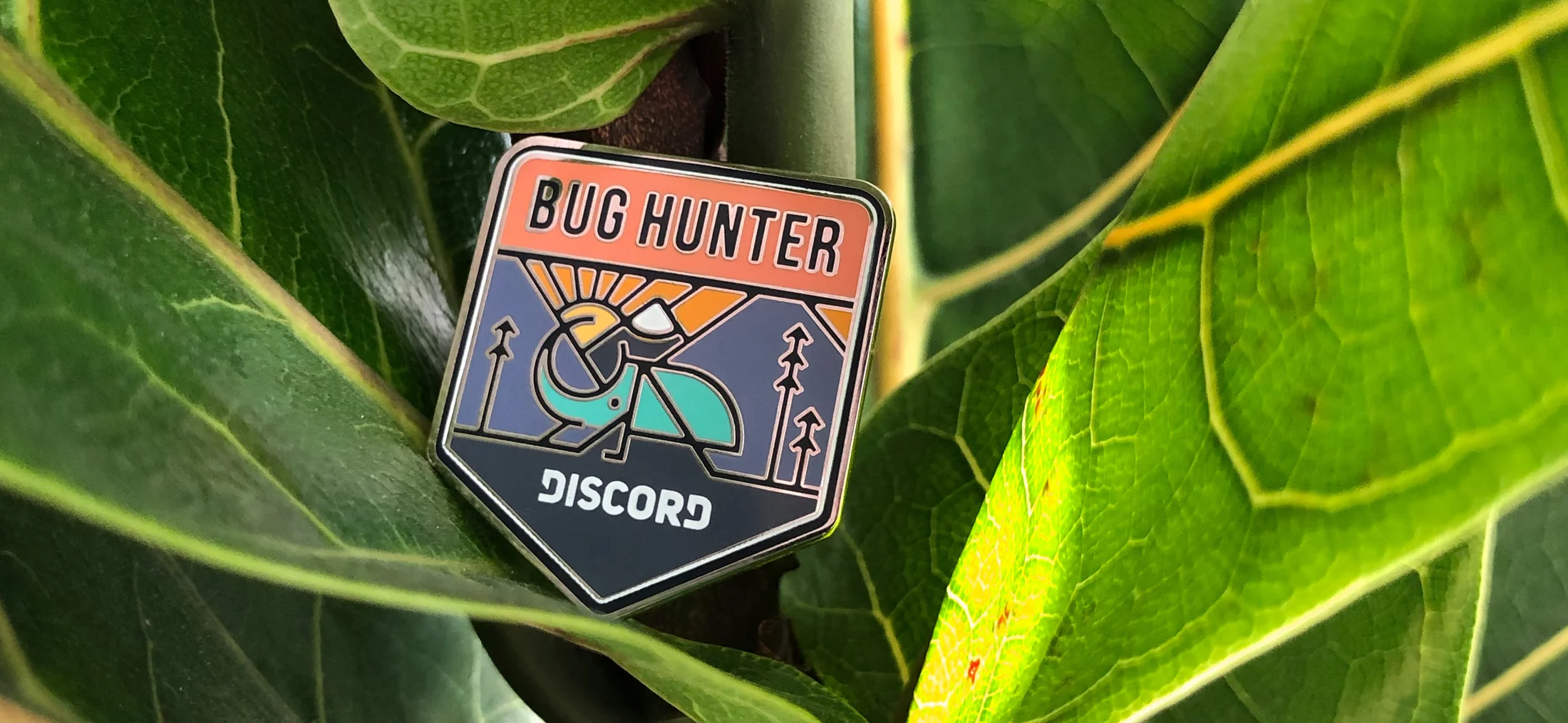 Bug Bounty Binh Hoang