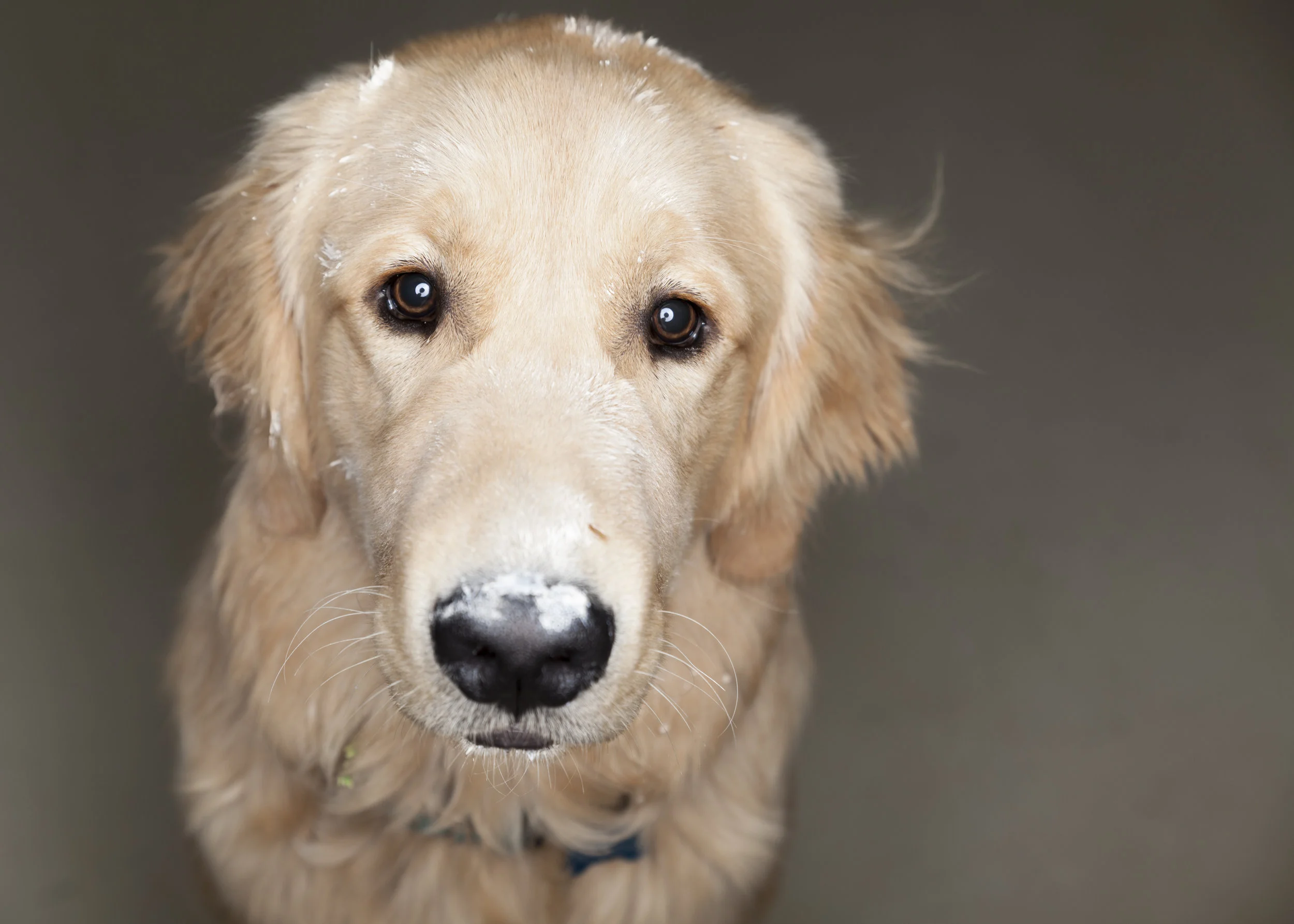20160706Empty Bowls-0135.jpg