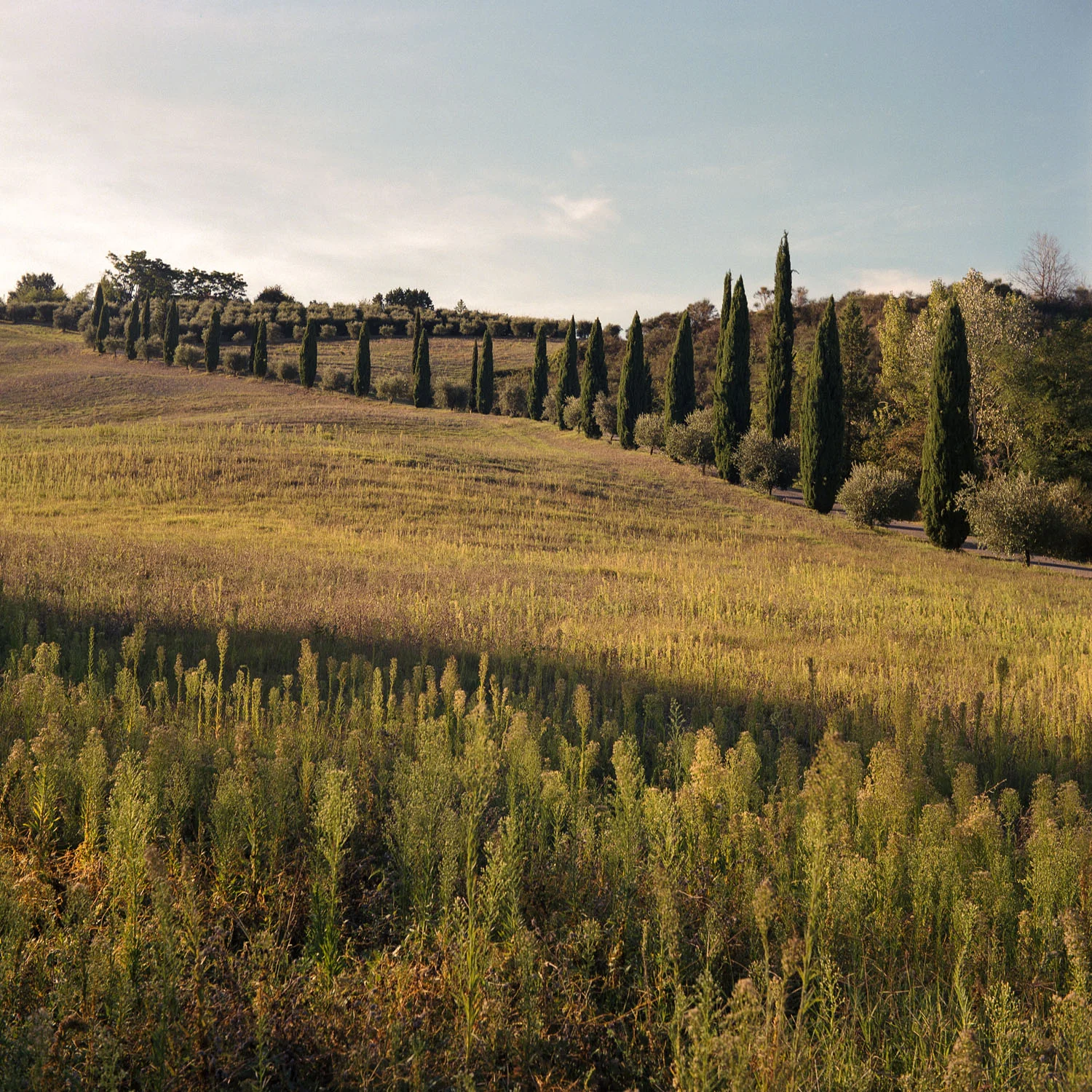 Stefanos Metaxas Photography Tuscan Countryside.jpg