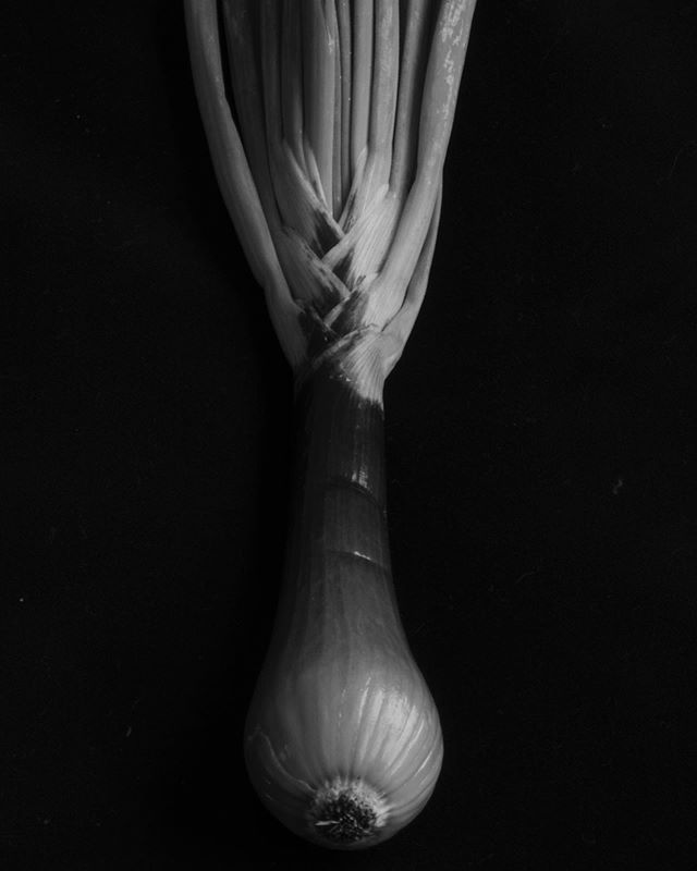 Onion no 1. Grown by @lehmannfamilyfarm 
#stilllife #naturamorta #blackandwhite