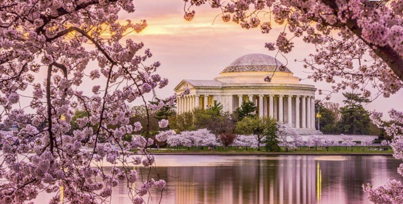 Cherry Blossom Festival/ Piano Quintets