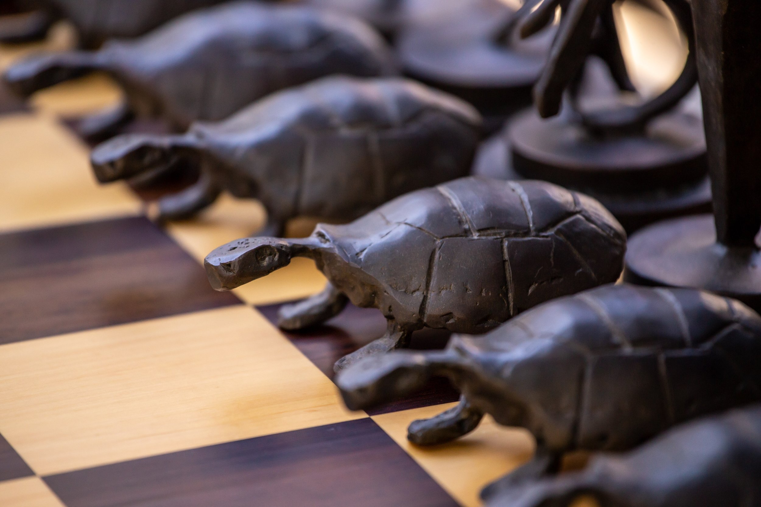 Chess piece pawn turtle:tortoise_Marney.JPG