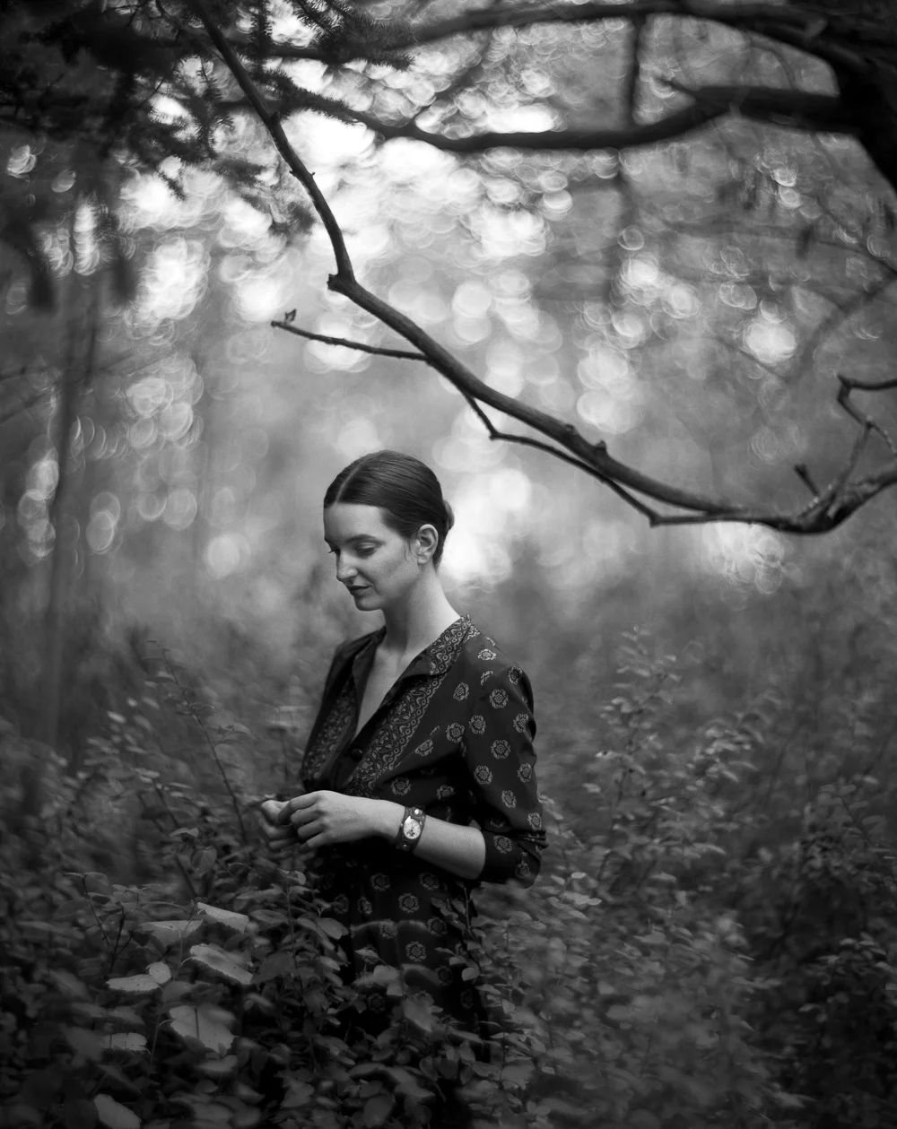 jacq-forest-3.jpg