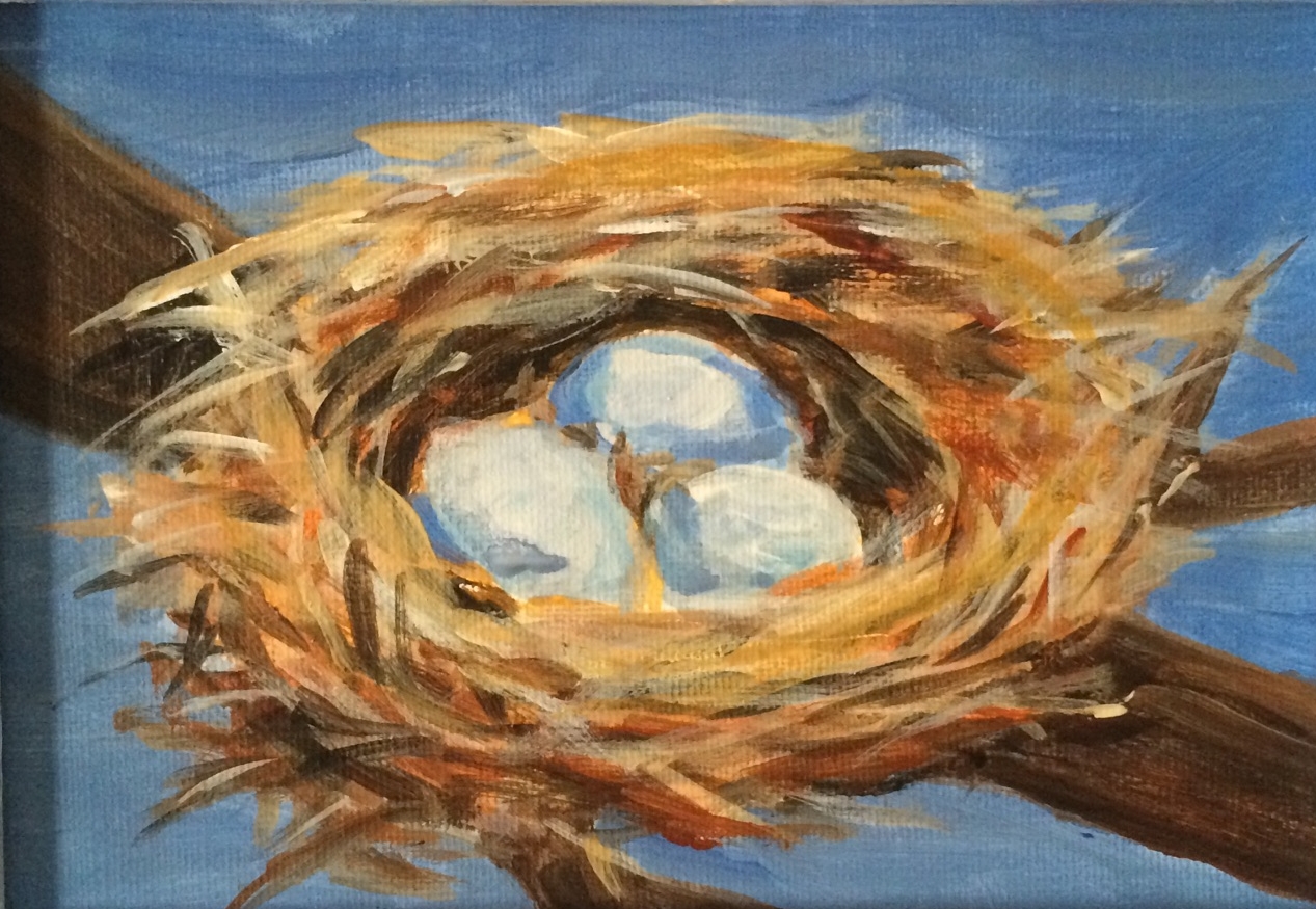Bird's Nest
