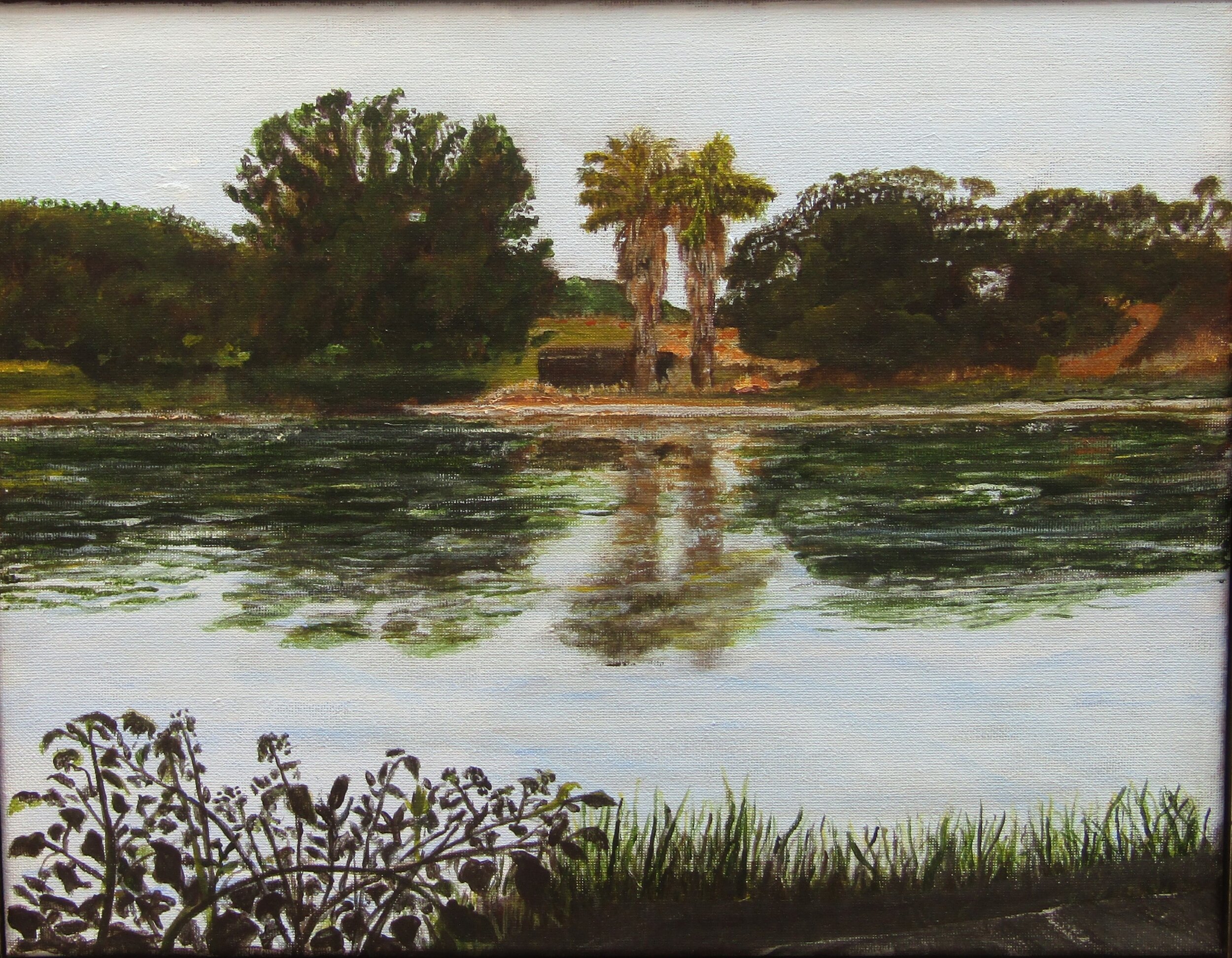 Lake Spafford.jpg