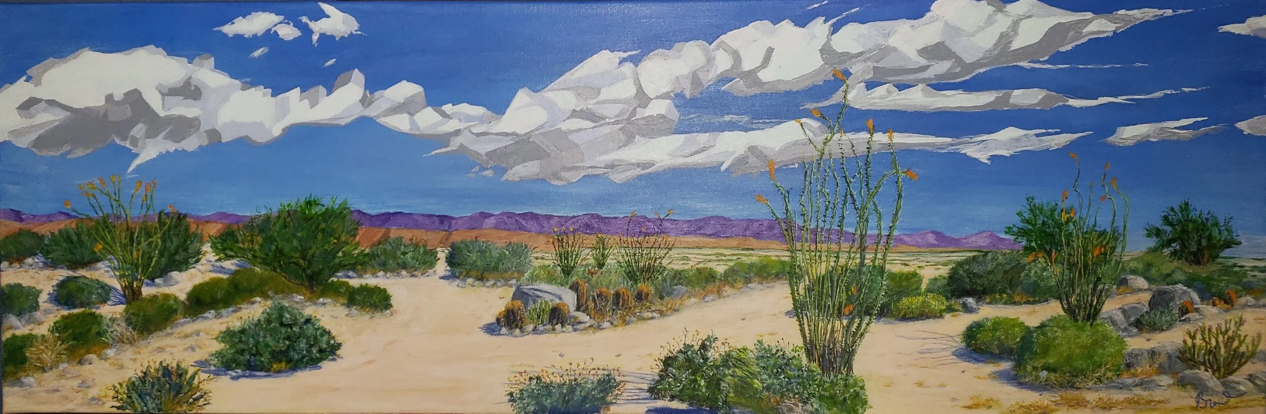 Ocotillos at ABDSP.jpg