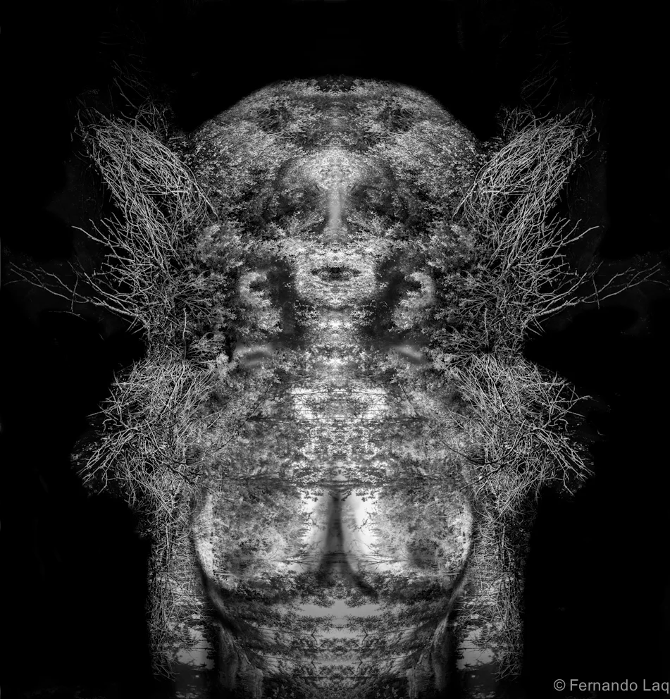 THE OLD FAIRY OF FOREST