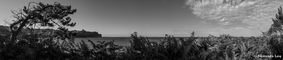 _MAL5813panoramica.jpg