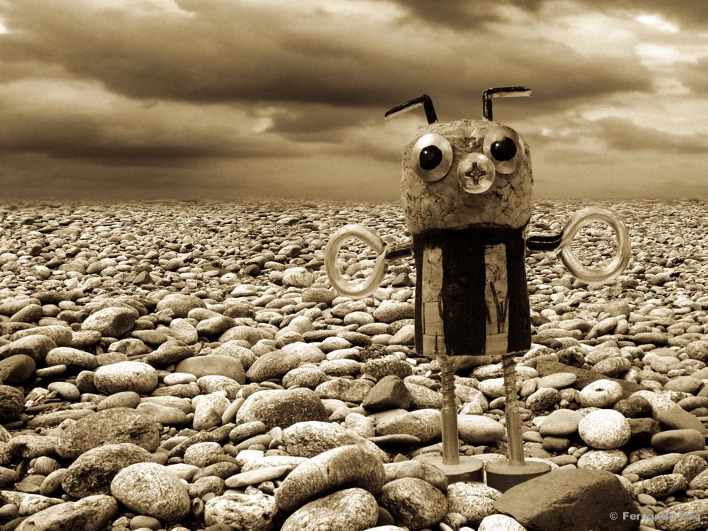 The Stone Sea