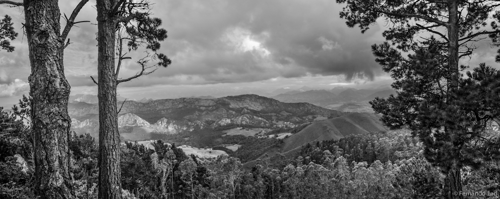 _FER4981panoramic.jpg