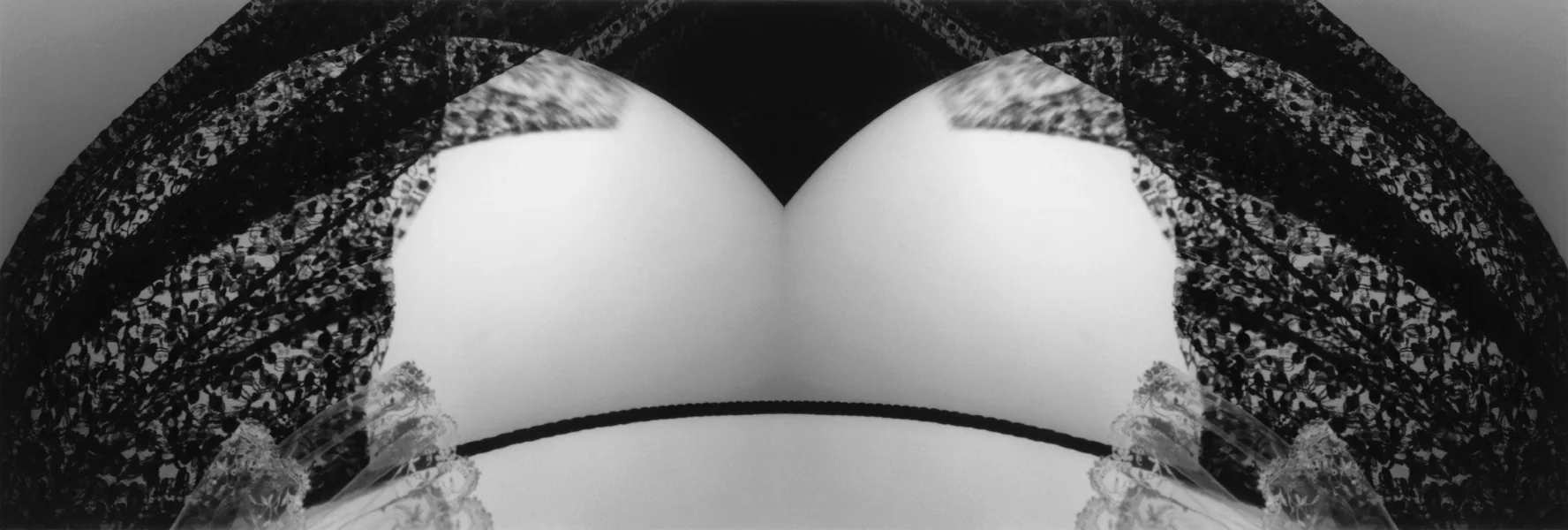 Scrupulously Fake 2, 1998