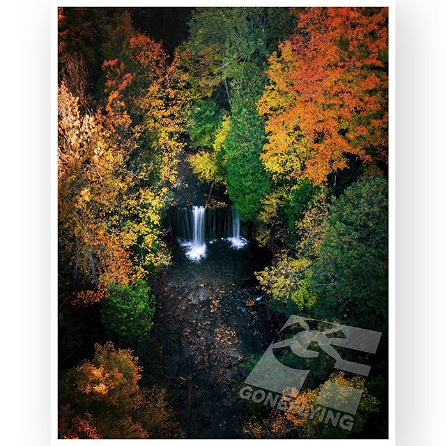 Autumn is blooming over Hoggs Falls, Flesherton, ON 🇨🇦
🍁🍂🍁🍂🍁🍁🍂🍂