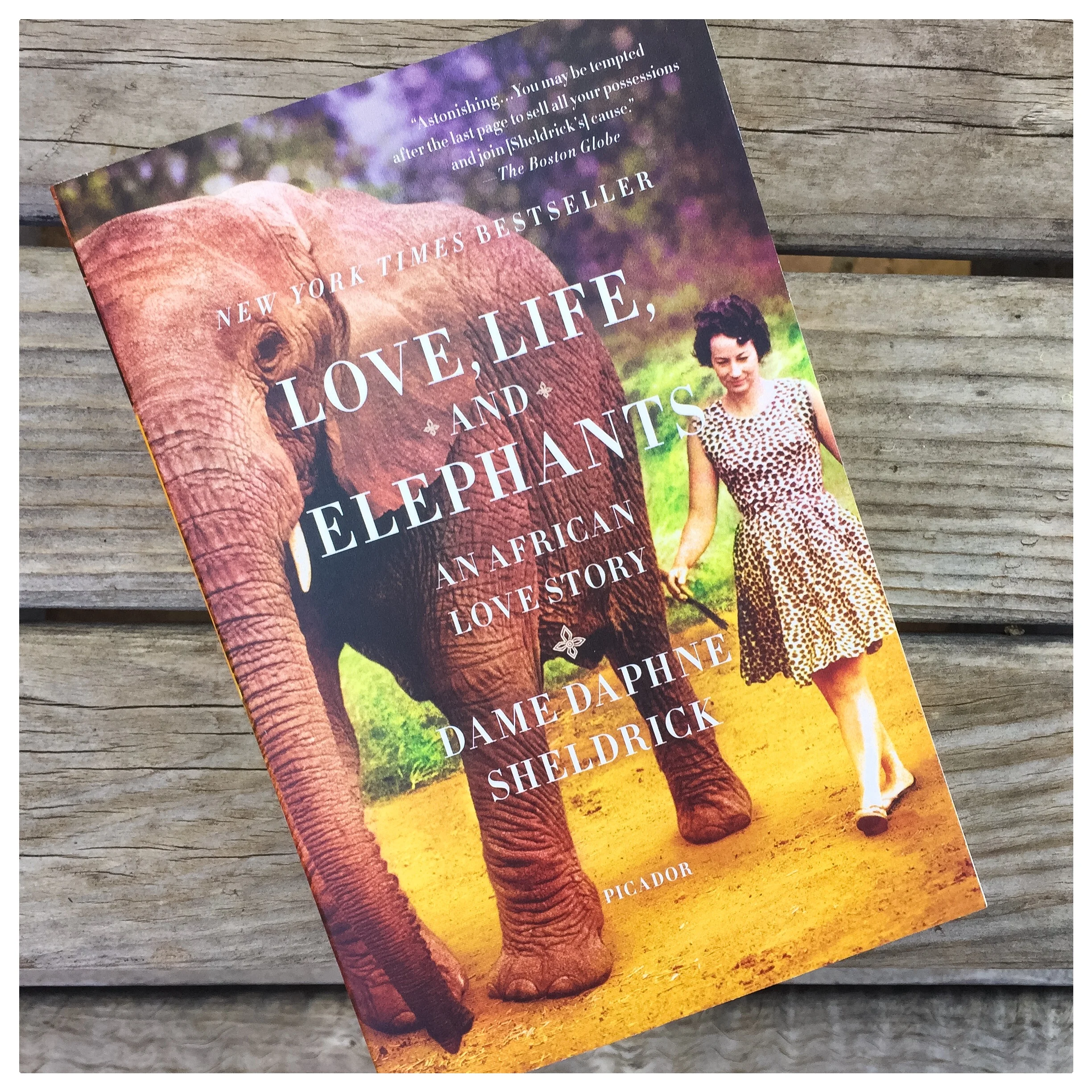 Elephants and Africa... just another book we hope you love as much as we do! 
