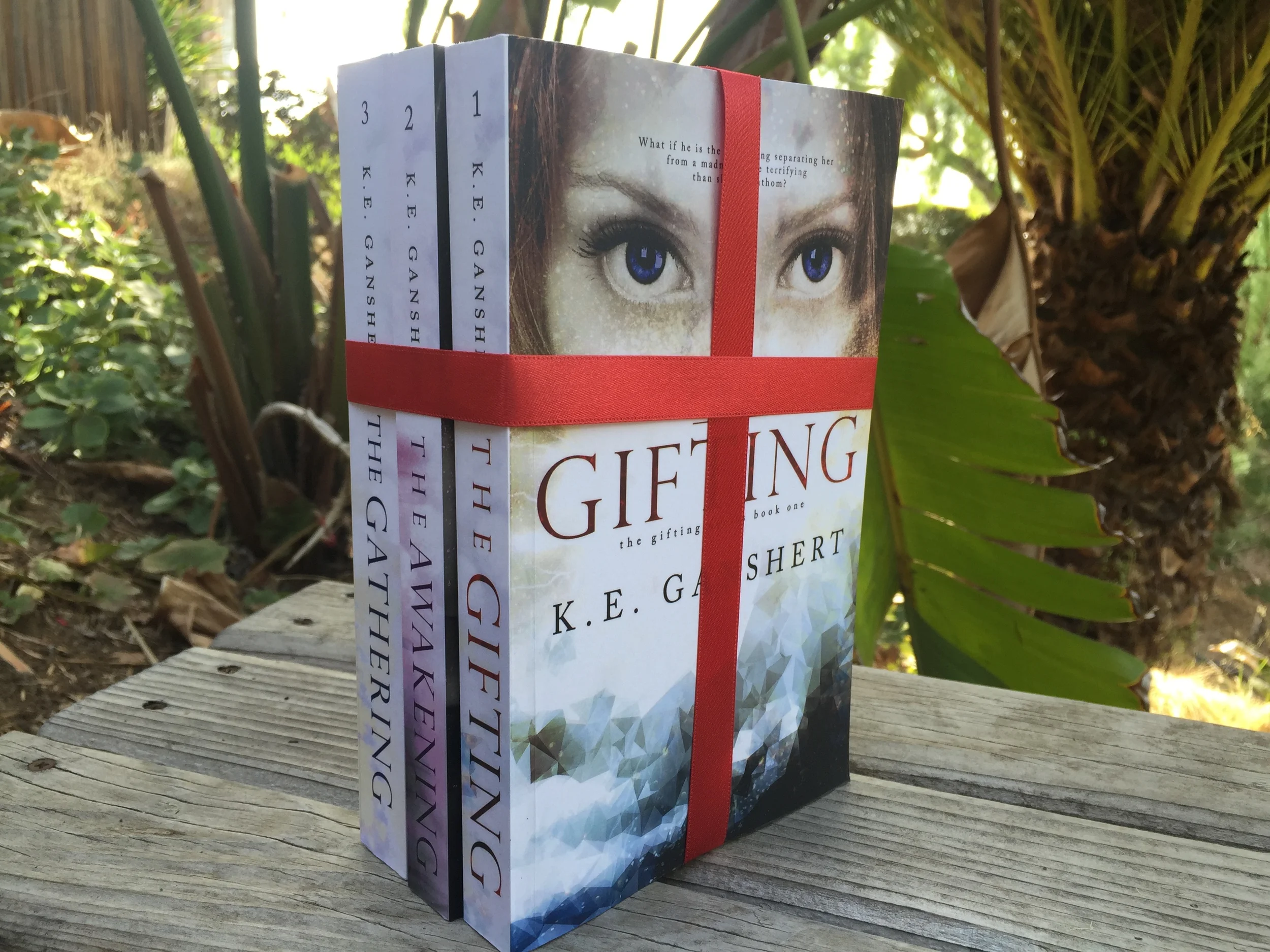 You can pretend like you'll gift this trilogy to your niece or bff's teenage daughter, but don't be fooled! K.E. Ganshert will keep you up all night reading by the light of your phone flashlight in this page turning, heart pounding, dystopian trilogy. YA Lit at its finest, you're going to love the characters and Ganshert's gift for weaving a tale! Its also signed by the author herself! Special shout out to K.E. Ganshert for this donation! 