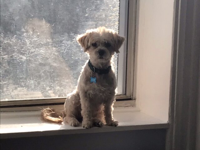 image2.jpeg