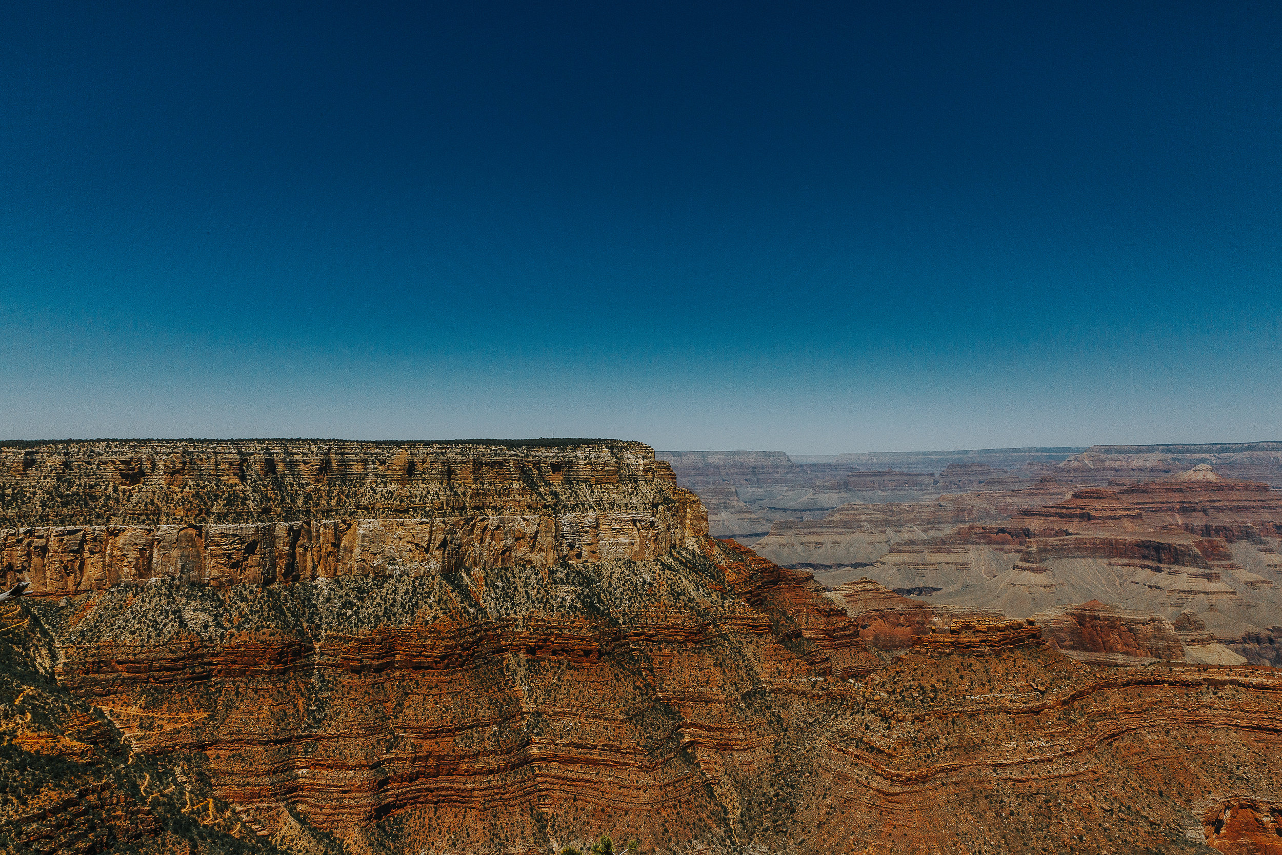 Honeymoon Road Trip-31.jpg
