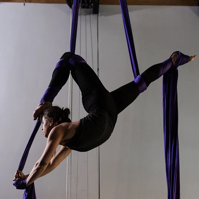 Classes At The Domes The Circus Project