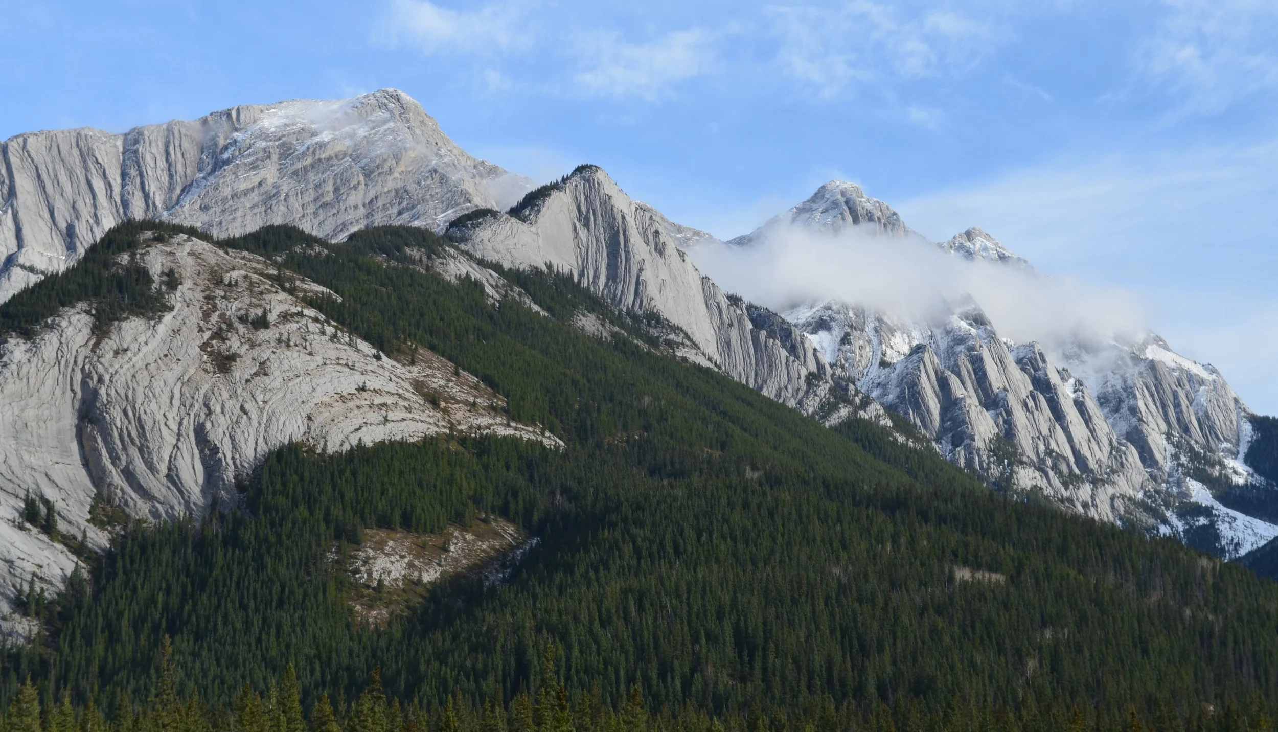 DSC_3998.JPG