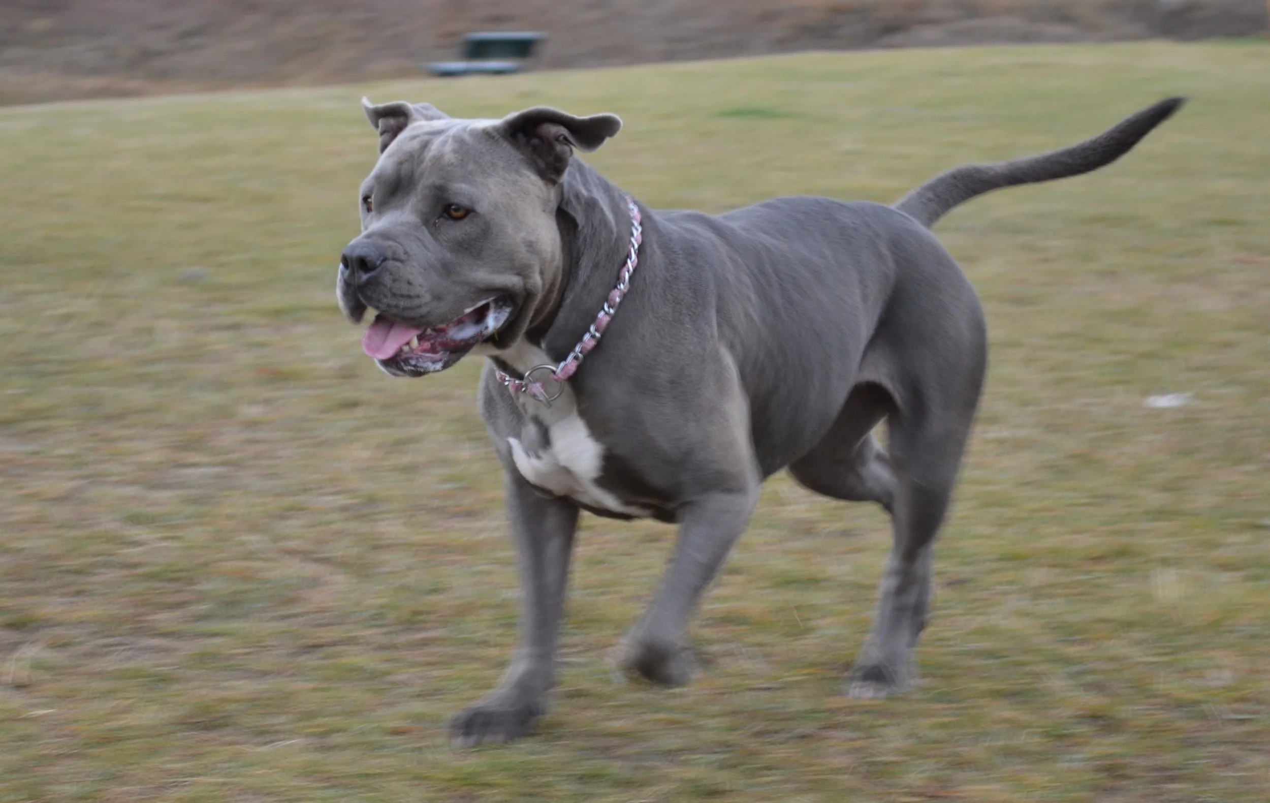 DSC_3679.JPG