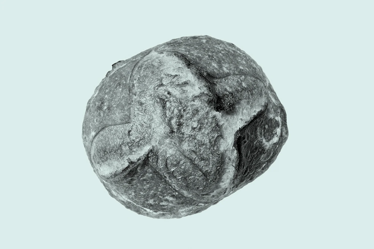 PRB_Image3.jpg