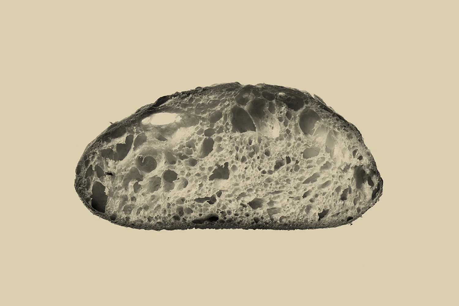 PRB_Image4.jpg