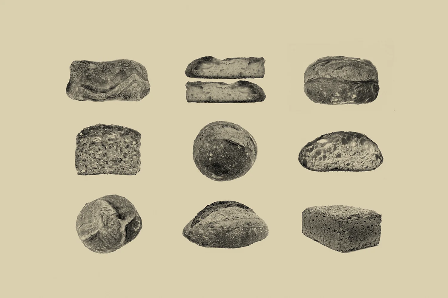 PRB_Image5.jpg