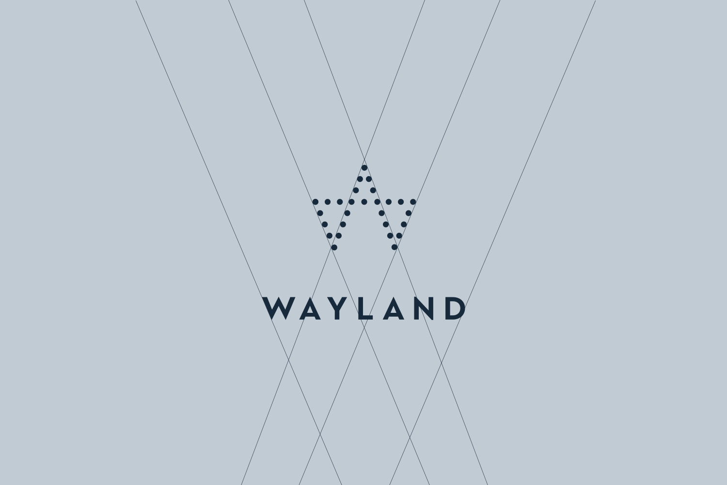 WAYLAND_Images5.jpg
