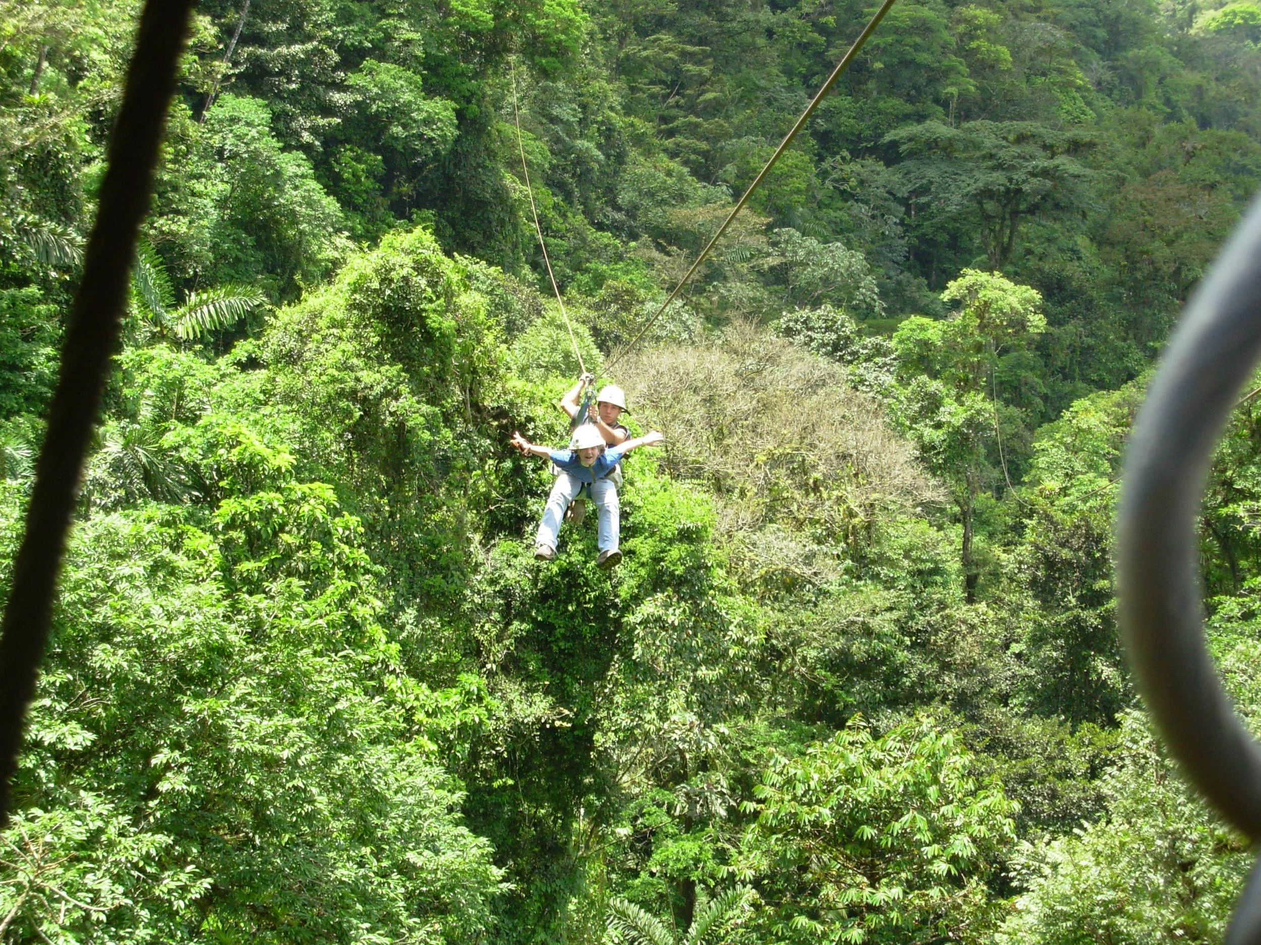 Chloe flying through the rainforest on a zipline. What a blast!