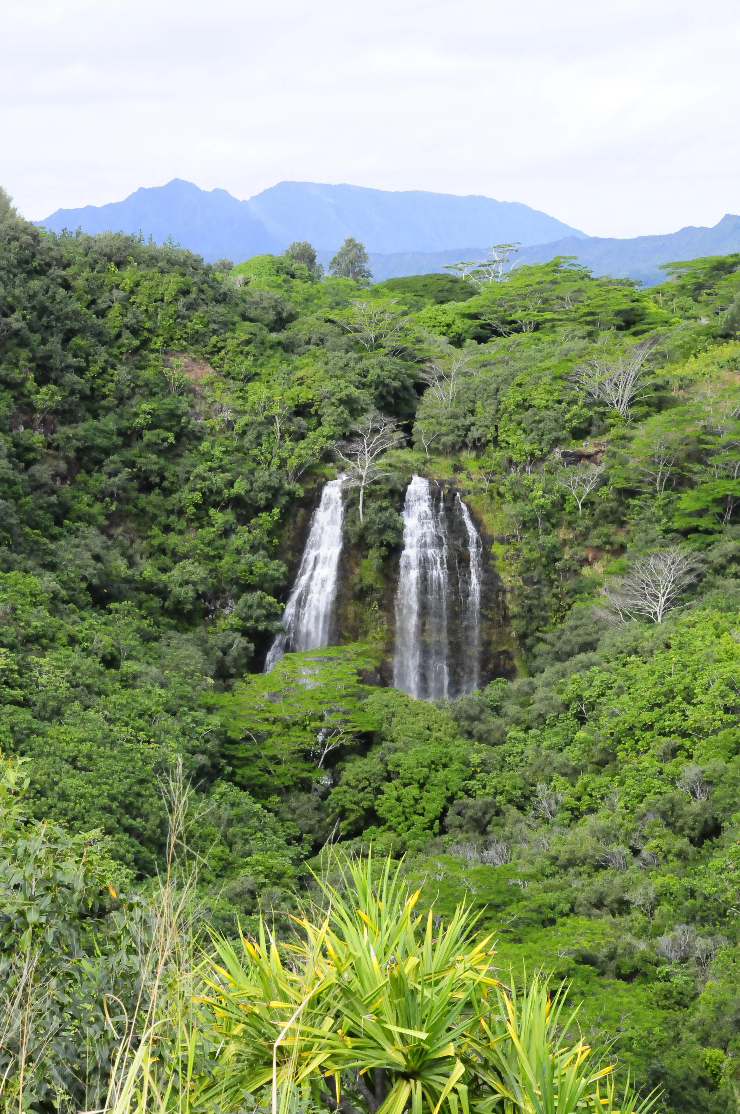 Opaeka'a Falls