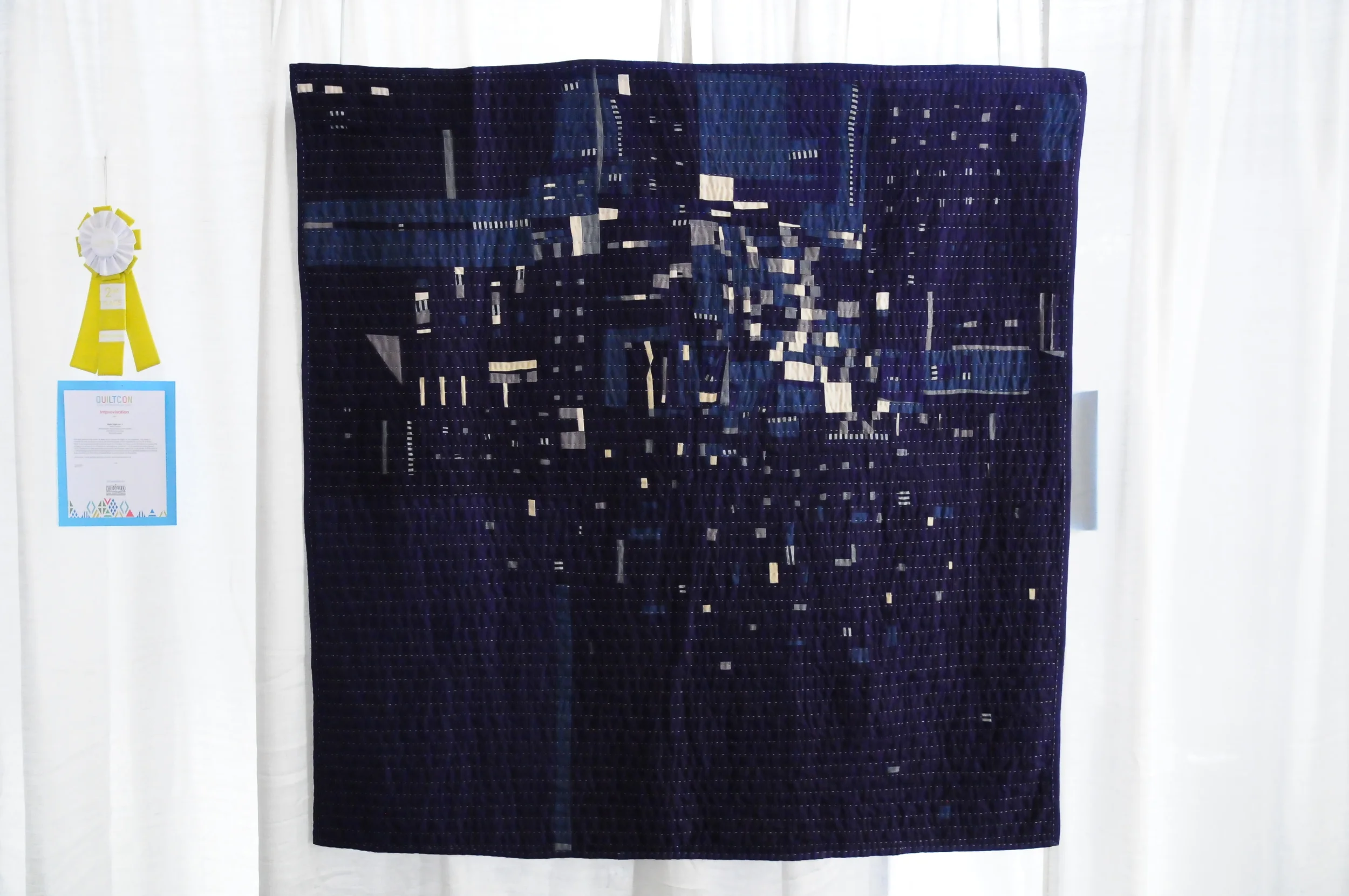 Night Flight no. 1 by Heidi Parkes, 2nd Place
