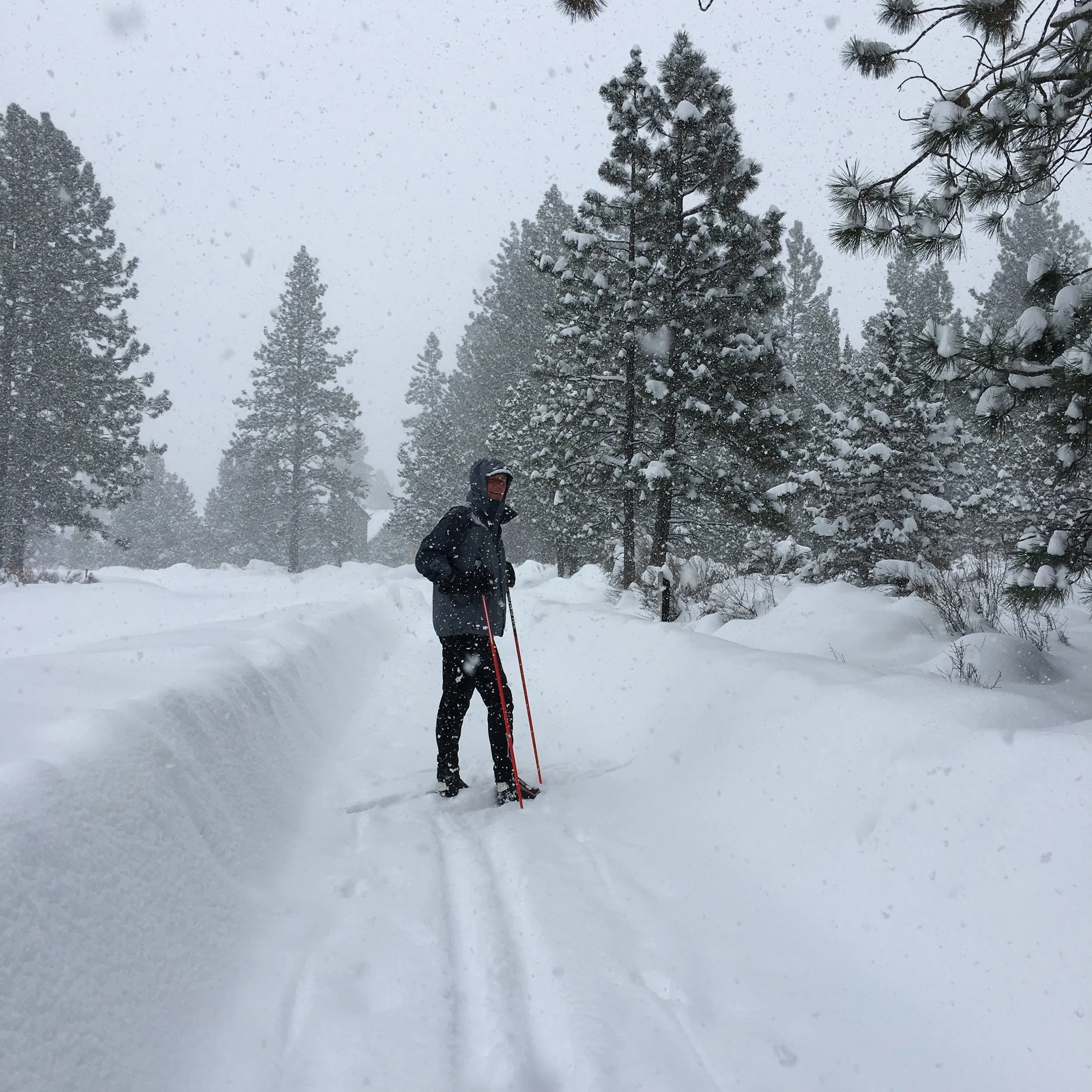Skiing on our neighborhood walking path.
