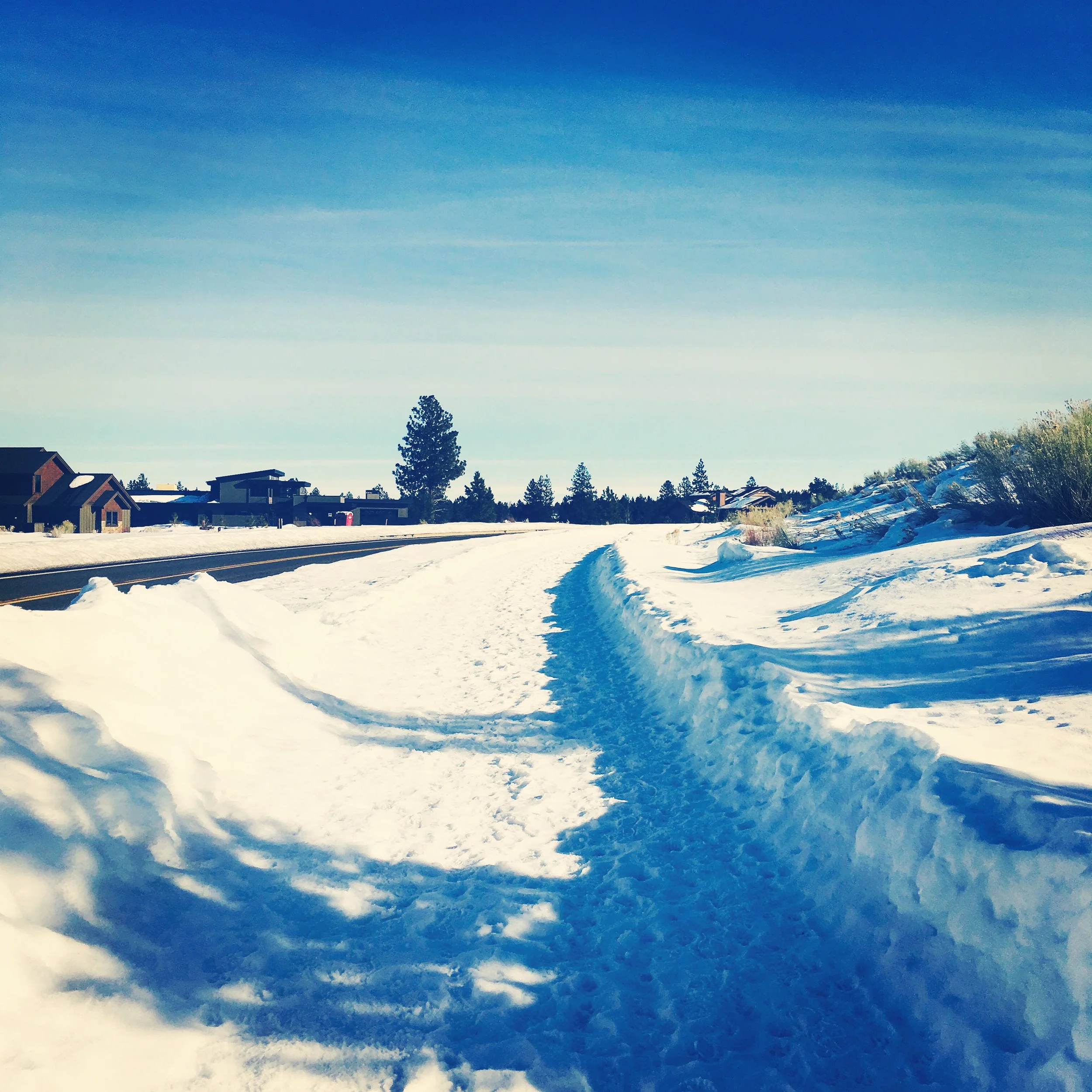 The other day in our neighborhood.