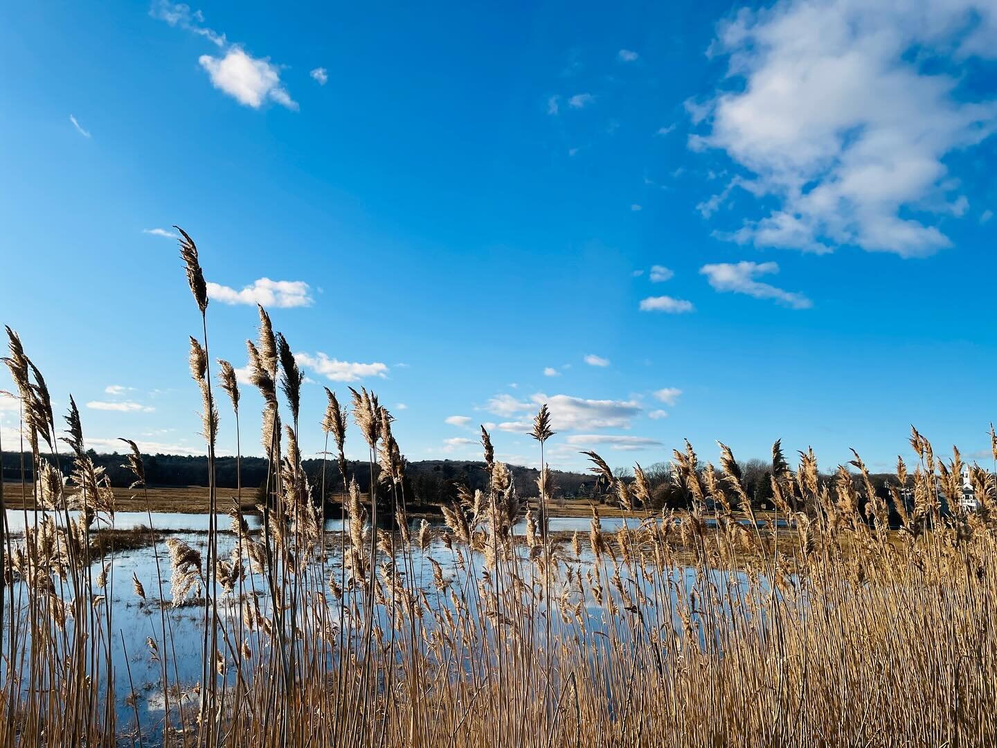 It&rsquo;s clear, cold and beautiful in Essex on this last day of 2023. I think winter is my favorite time of year to come out for fish and chips because the crowds are nowhere to be seen.  Happy New Year wherever you are!