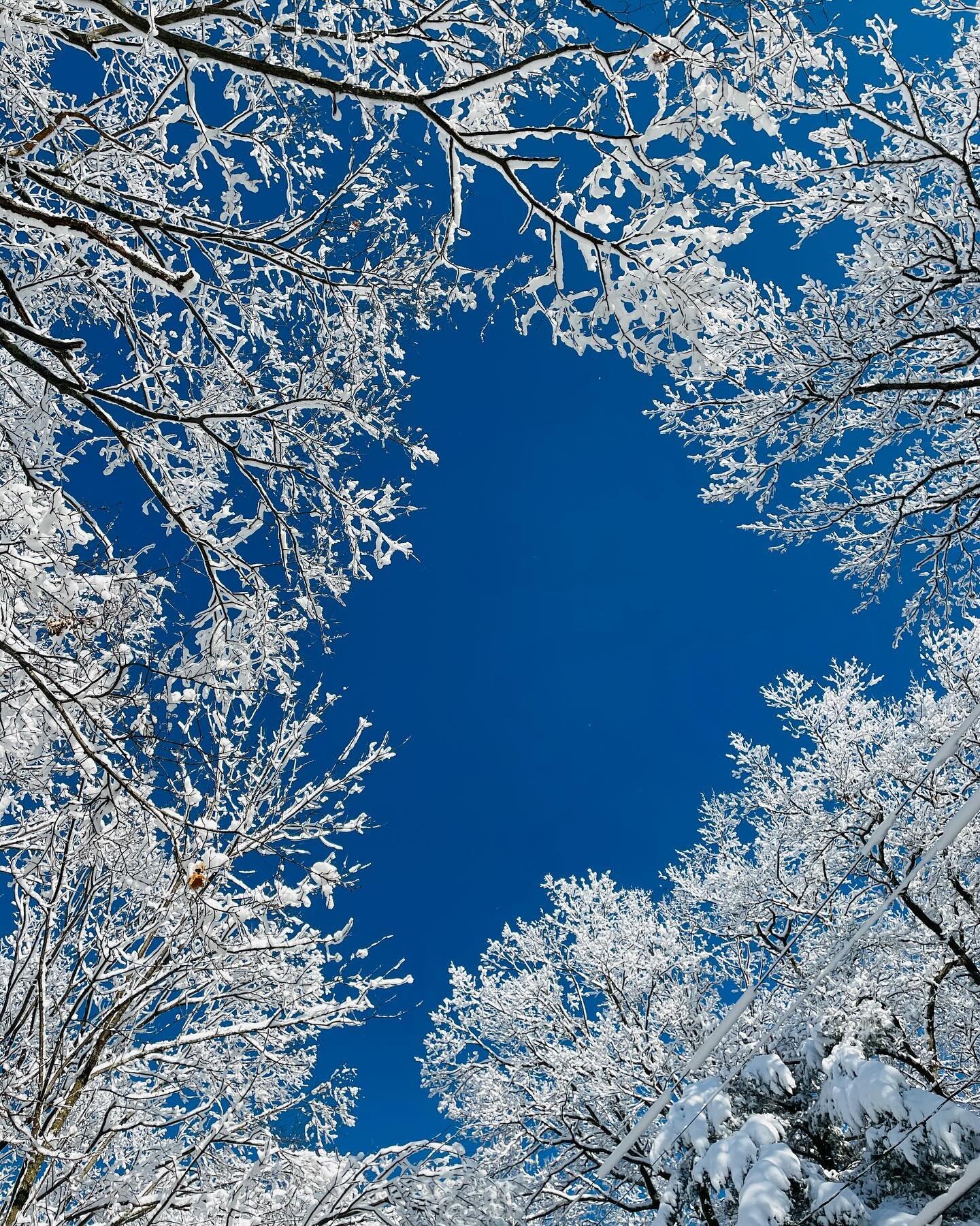 ❄️Absolutely stunning morning here. My favorite winter days are the sunny sparkling ones. Wet snow makes for difficult shoveling, but the most beautiful views. I&rsquo;m thankful for snowblowers and the public works department who have cleared the ro