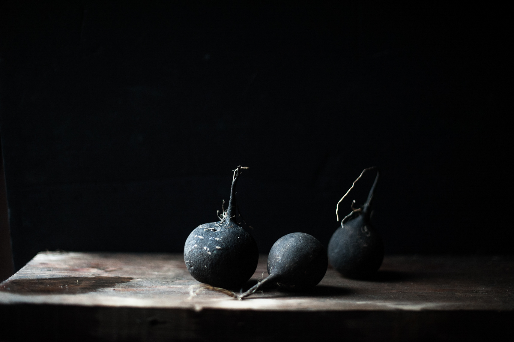 StillLife_Alysia_Rain+(551+of+583).jpg