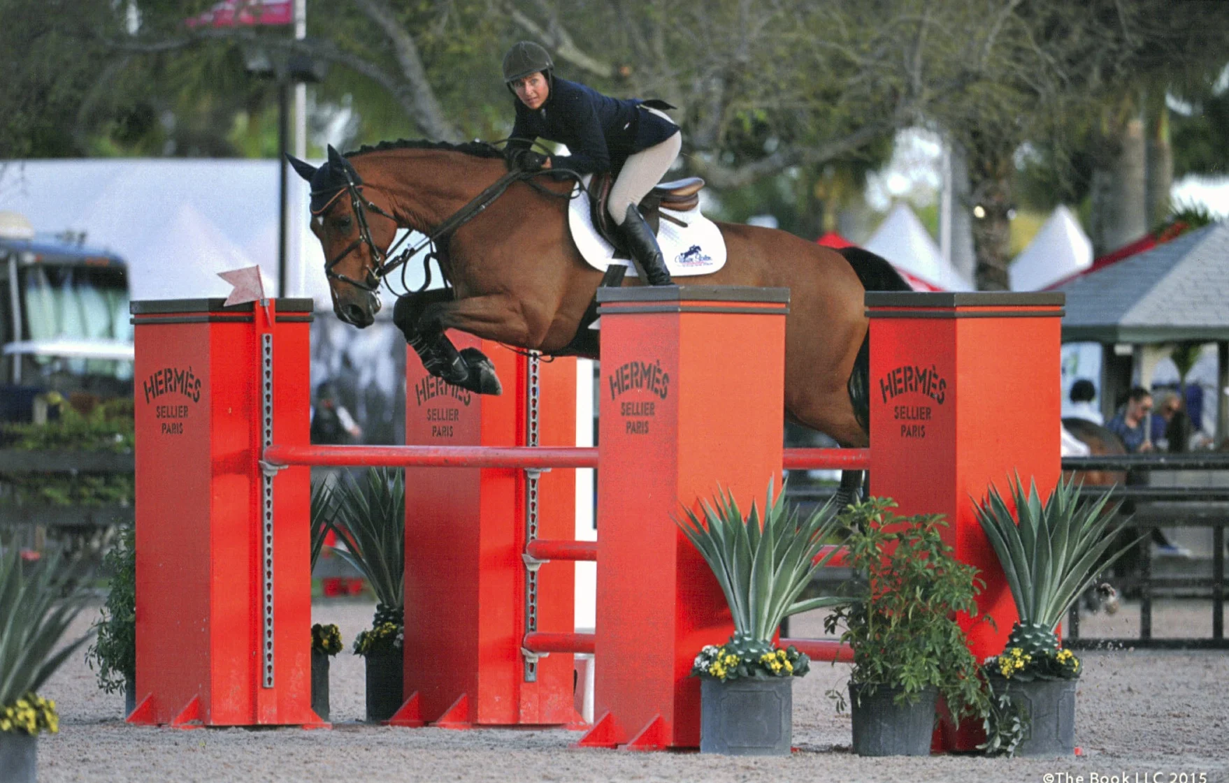 03-21-2015 06_00_58PM - Version 2.jpg