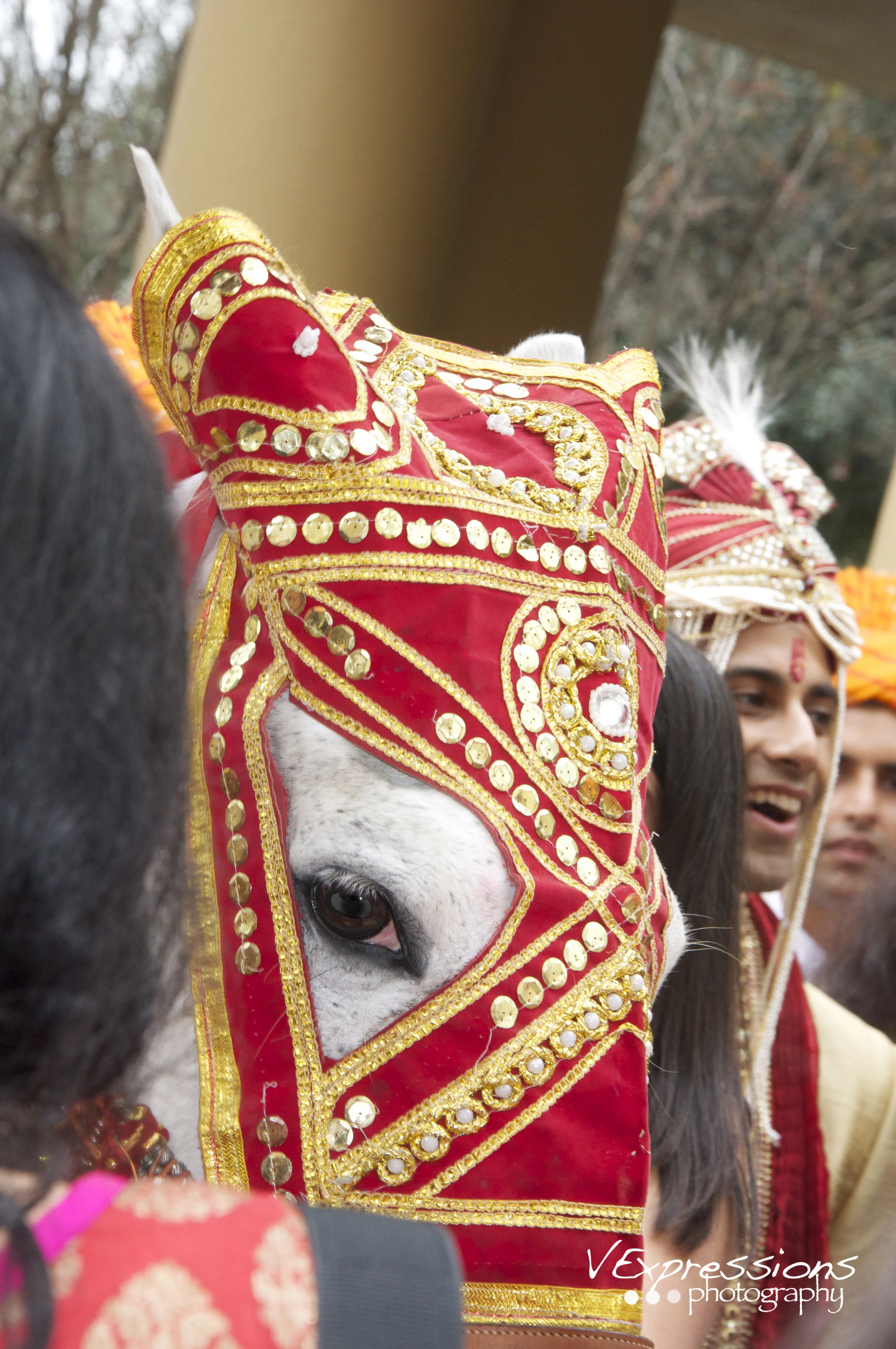 DSC_3266.jpg