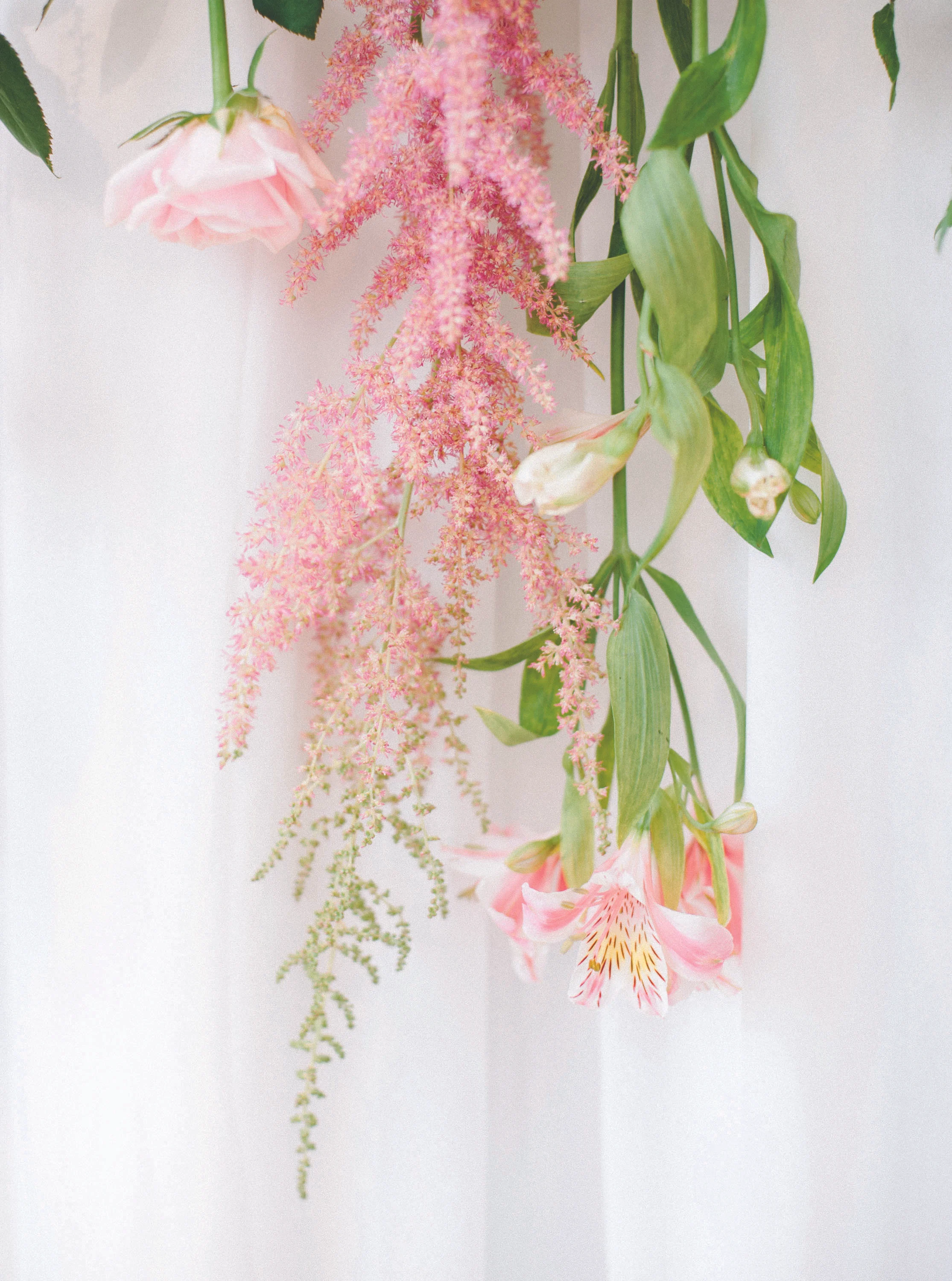 sealonheartphotography-06-0002.jpg