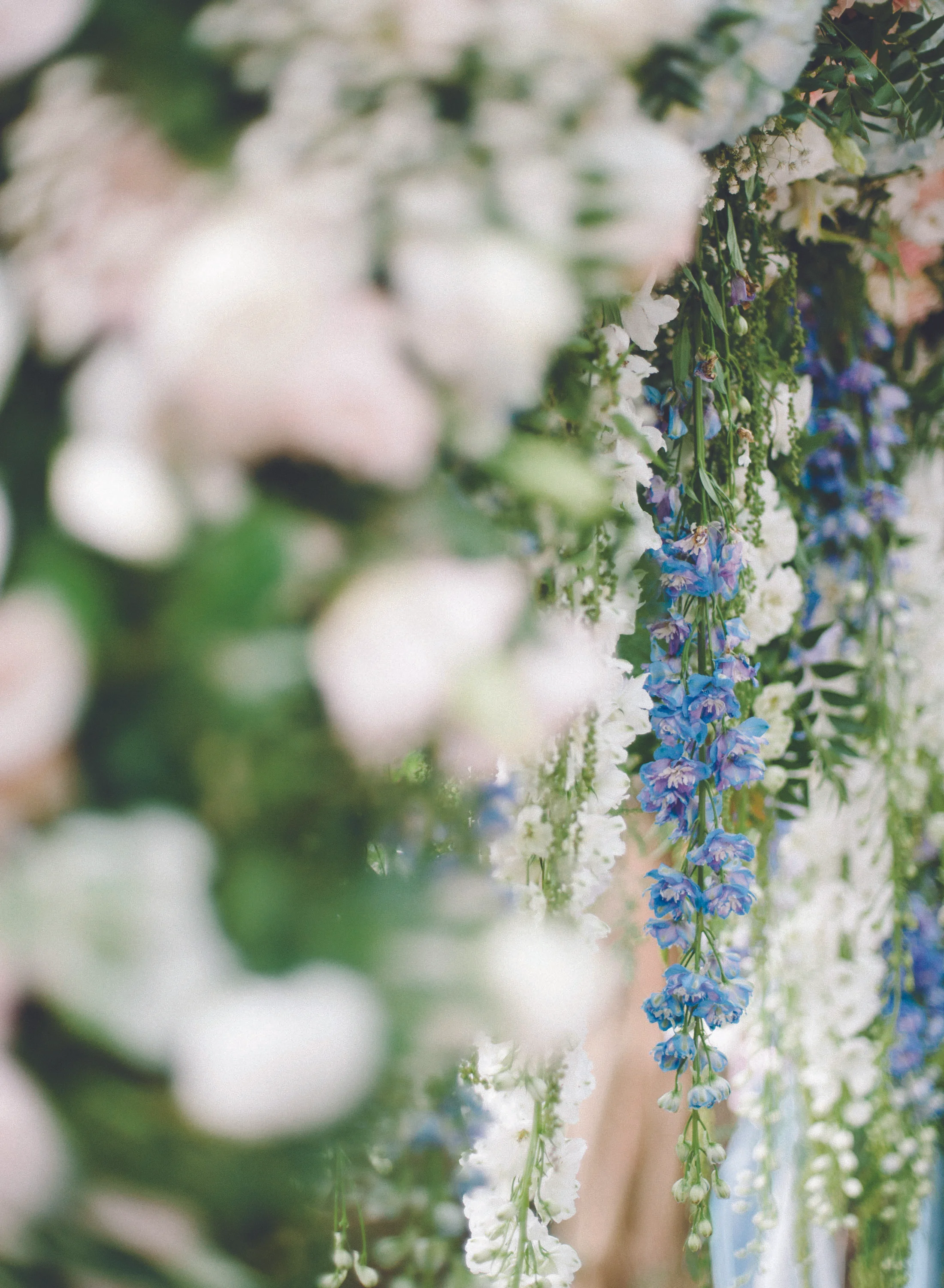 sealonheartphotography-05-0011.jpg