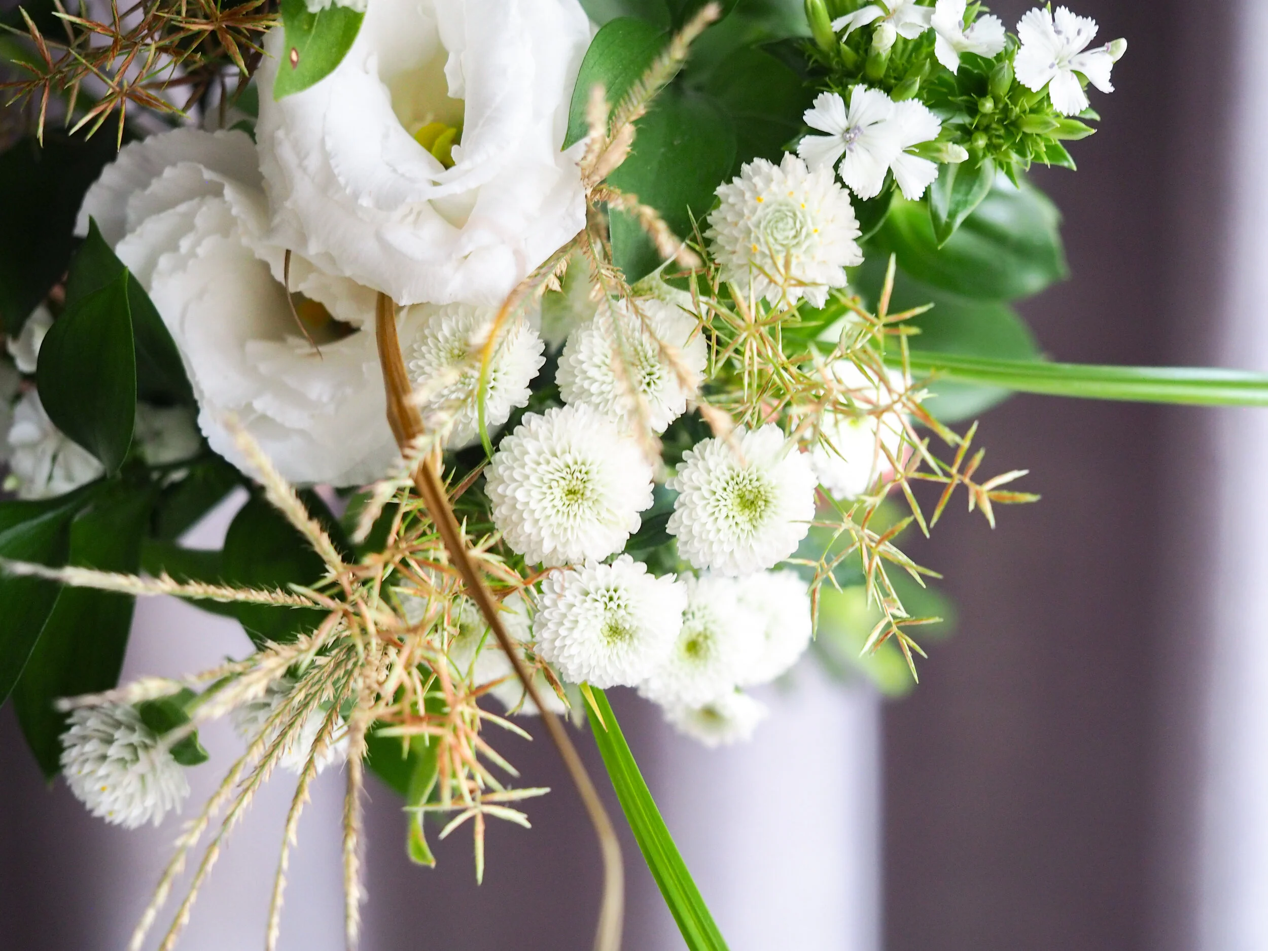 嗨，微風 GENTLE BREEZE （Jun. 2019）  