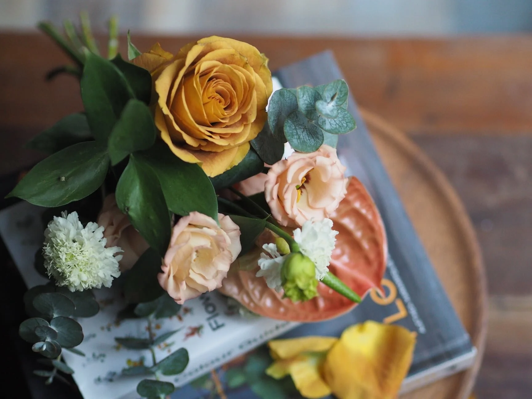 乘著噴射機而來 （JUNE. 2021）