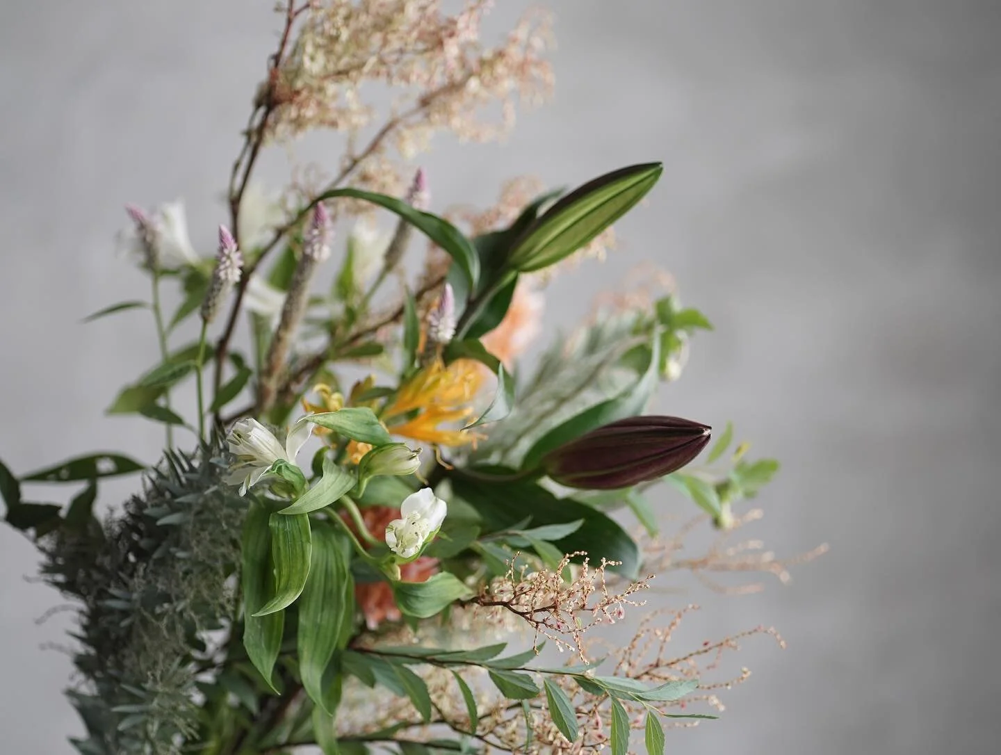 合歡山頂尋找虎杖花海花材包（AUGUST. 2021) 