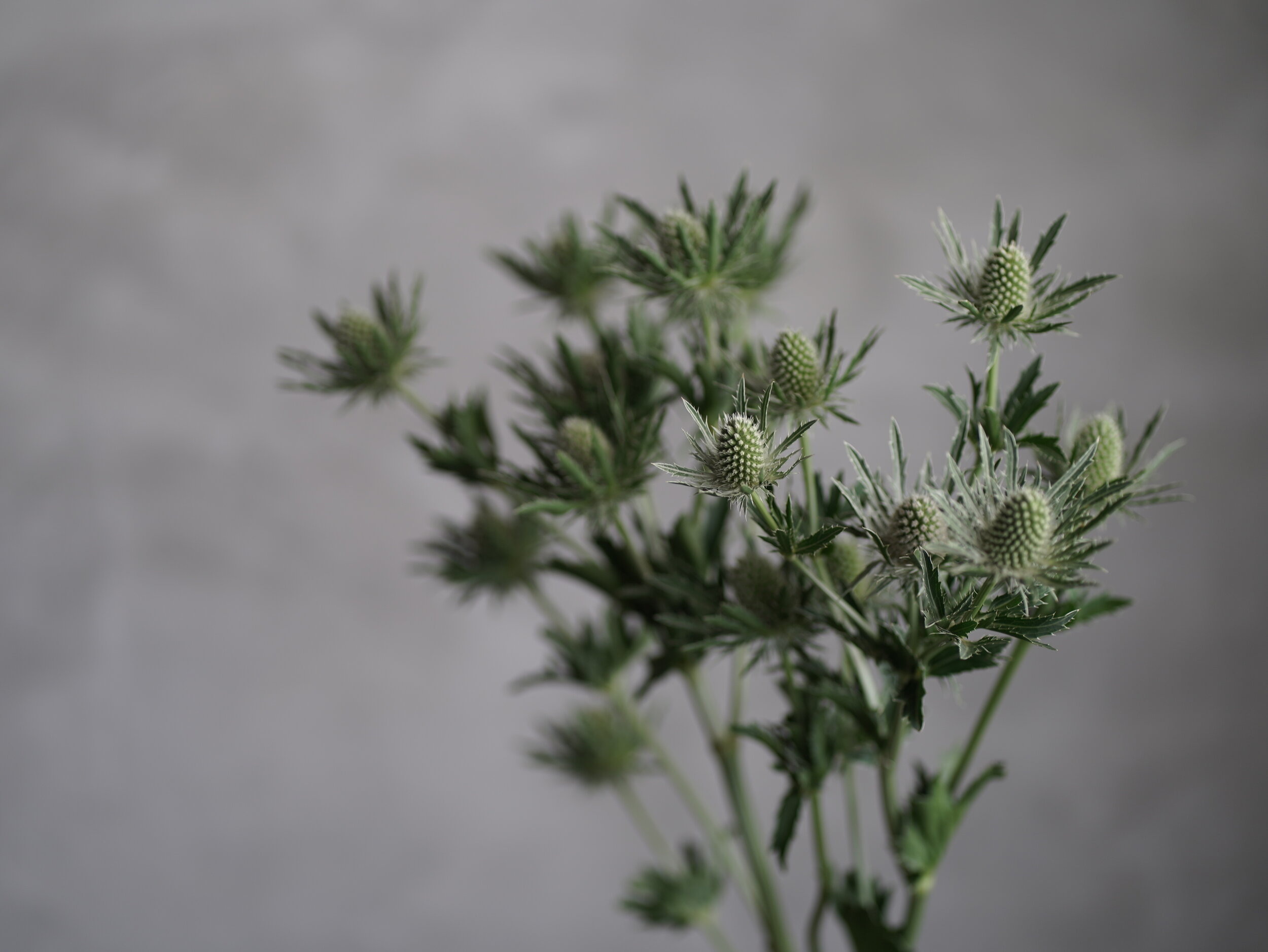 舒適圈外的世界（OCT. 2021）